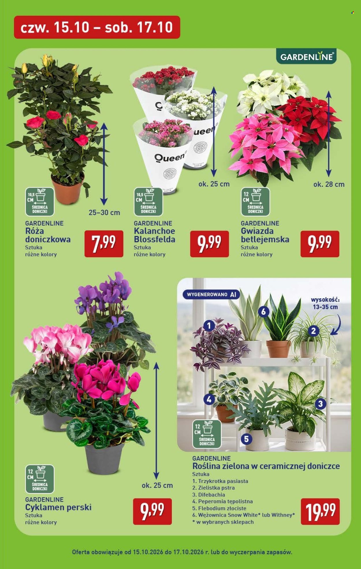 Gazetka ALDI - Oferta weekendowa