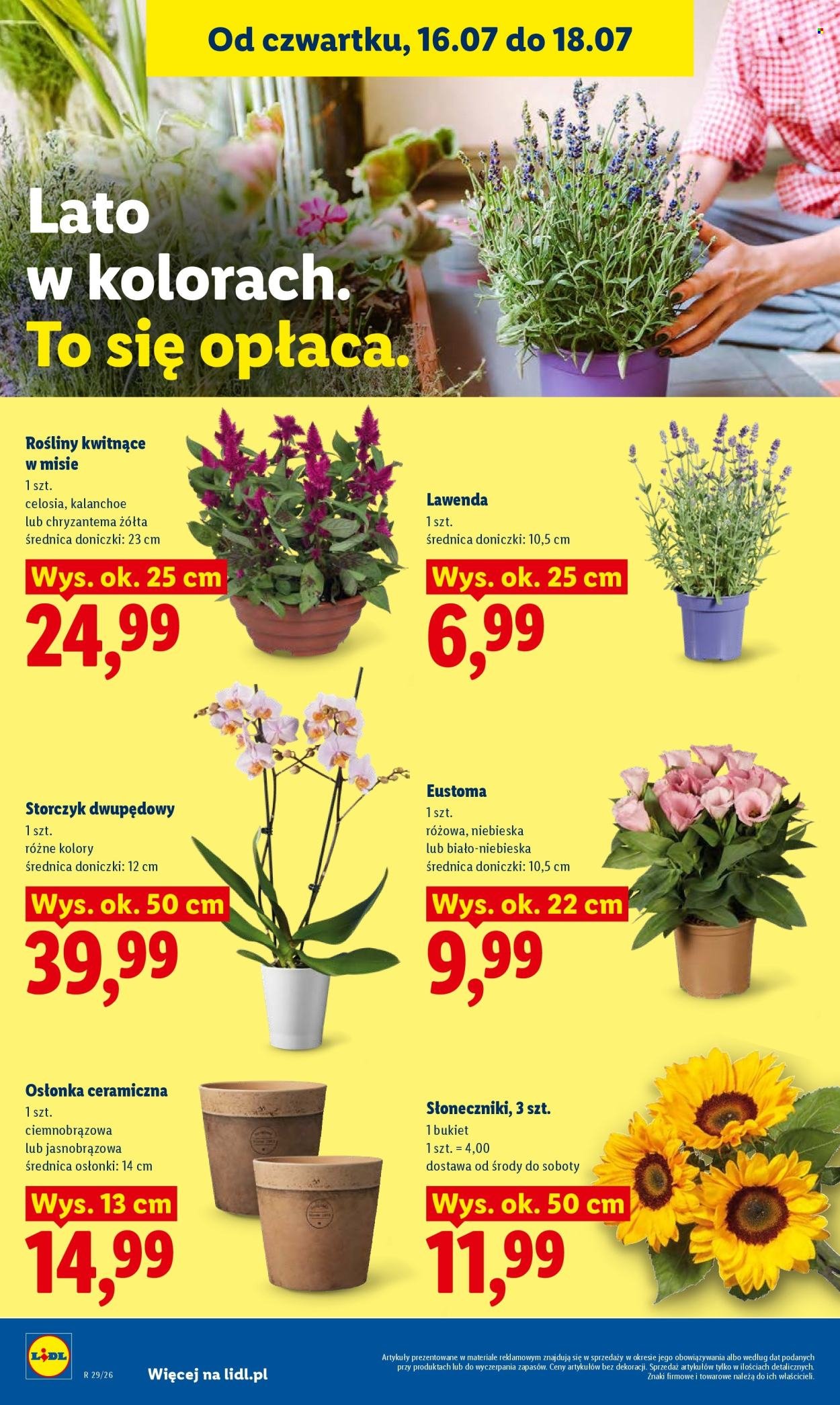 Gazetka LIDL - Od czwartku