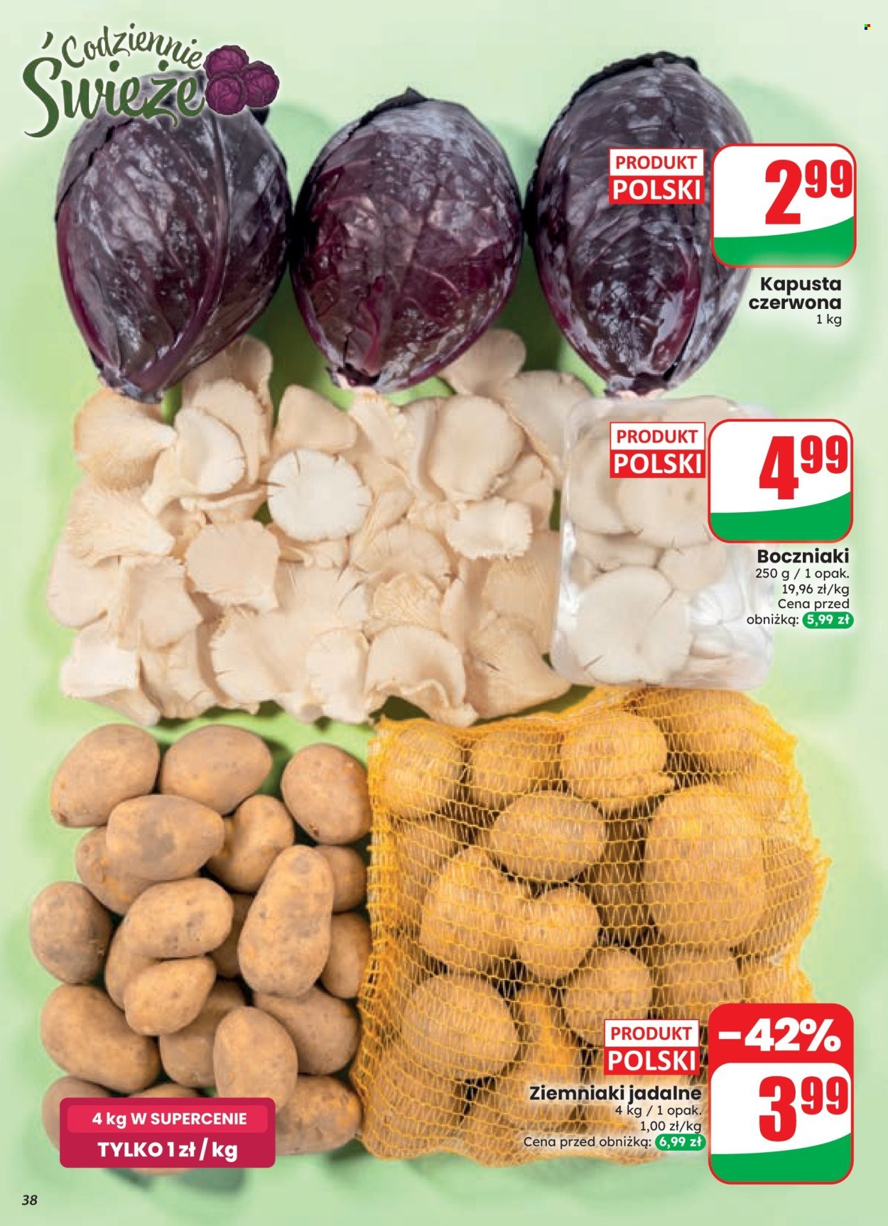 Gazetka DINO - Od środy 23.09.2026
