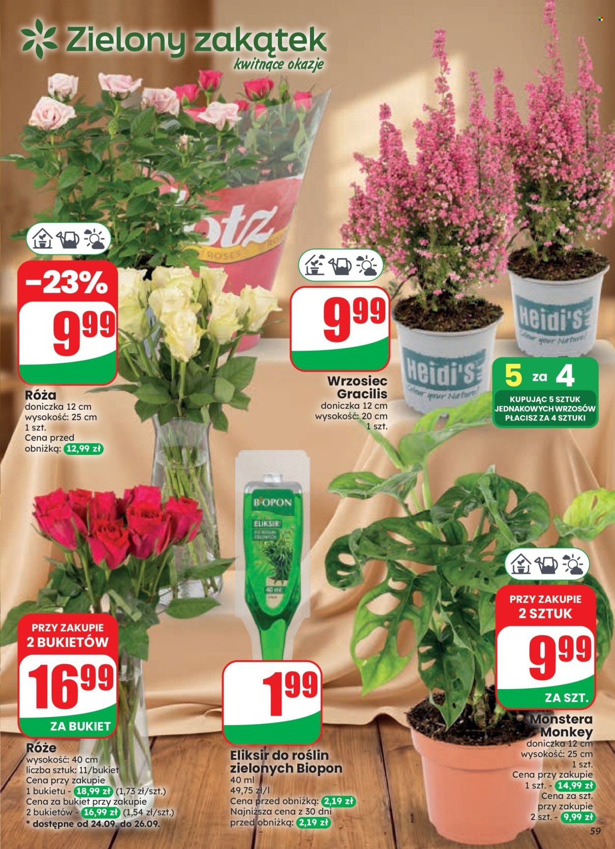 Gazetka DINO - Od środy 23.09.2026
