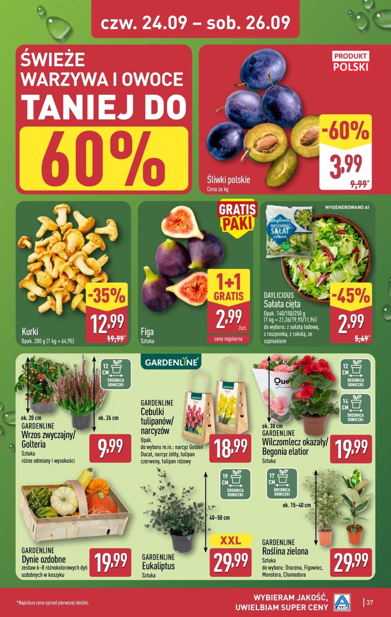 Gazetka ALDI - Pełna oferta