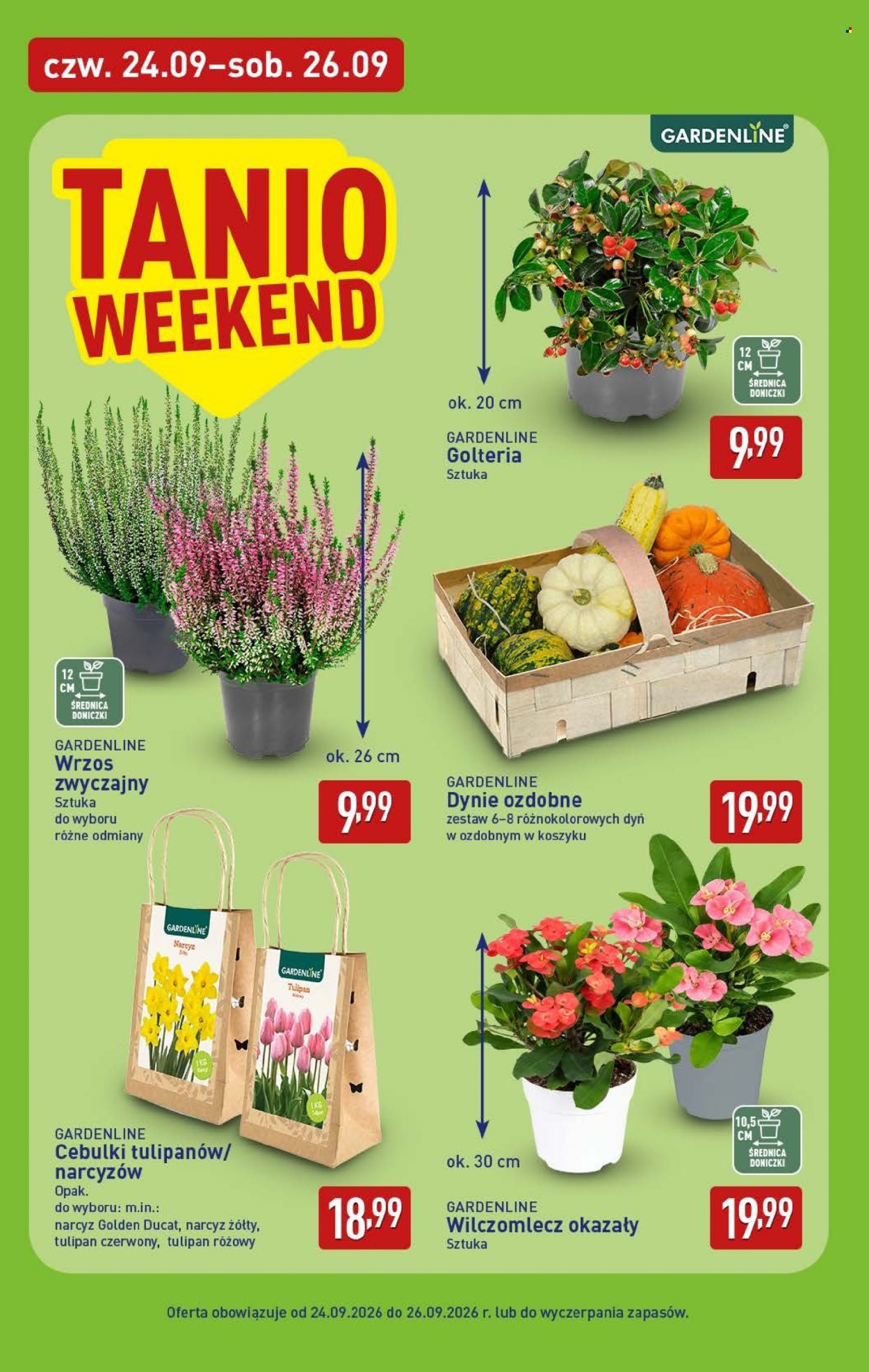 Gazetka ALDI - Pełna oferta