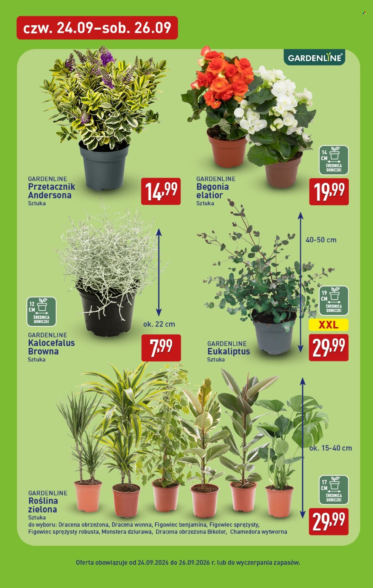 Gazetka ALDI - Pełna oferta