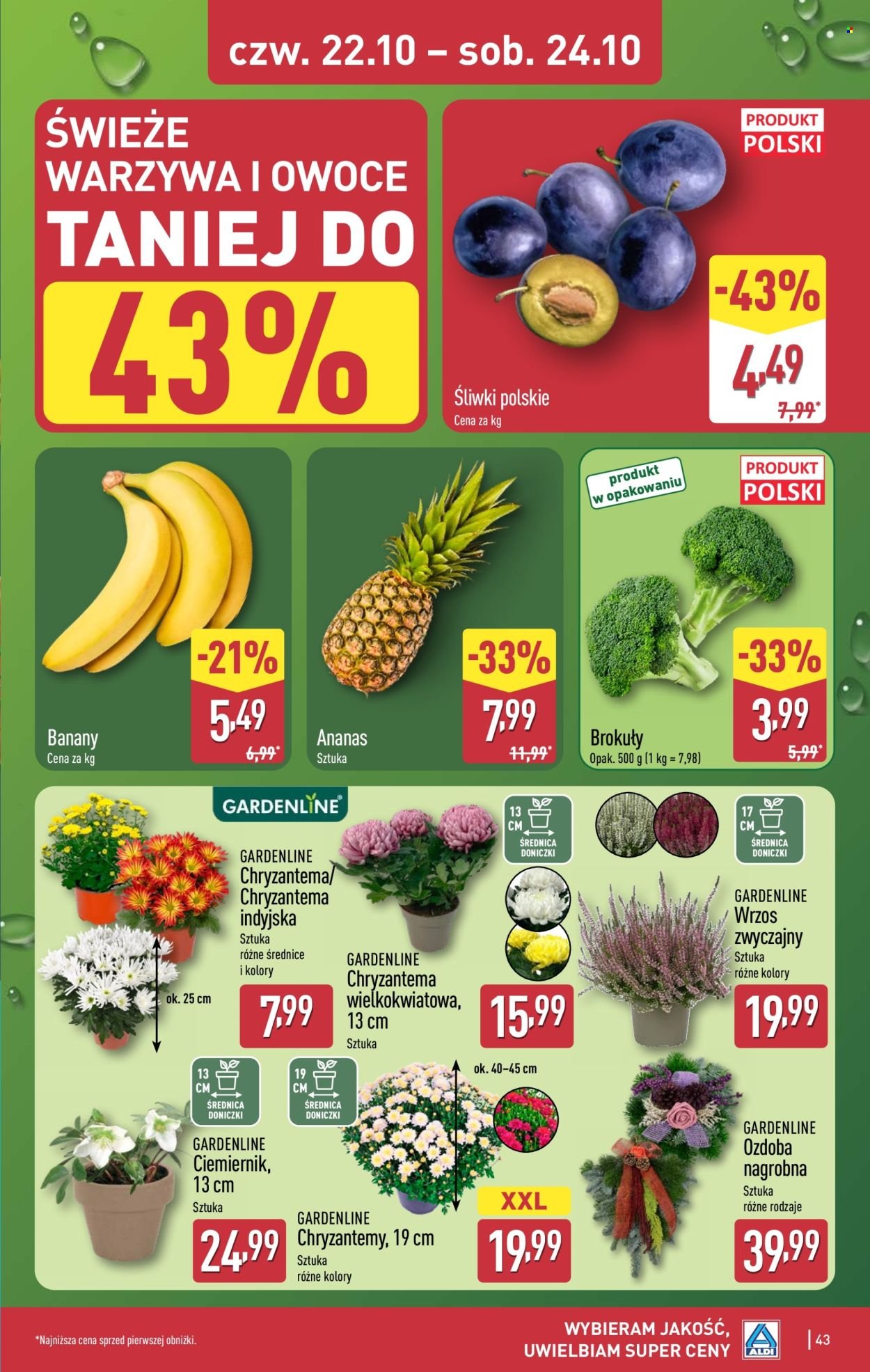 Gazetka ALDI - Pełna oferta