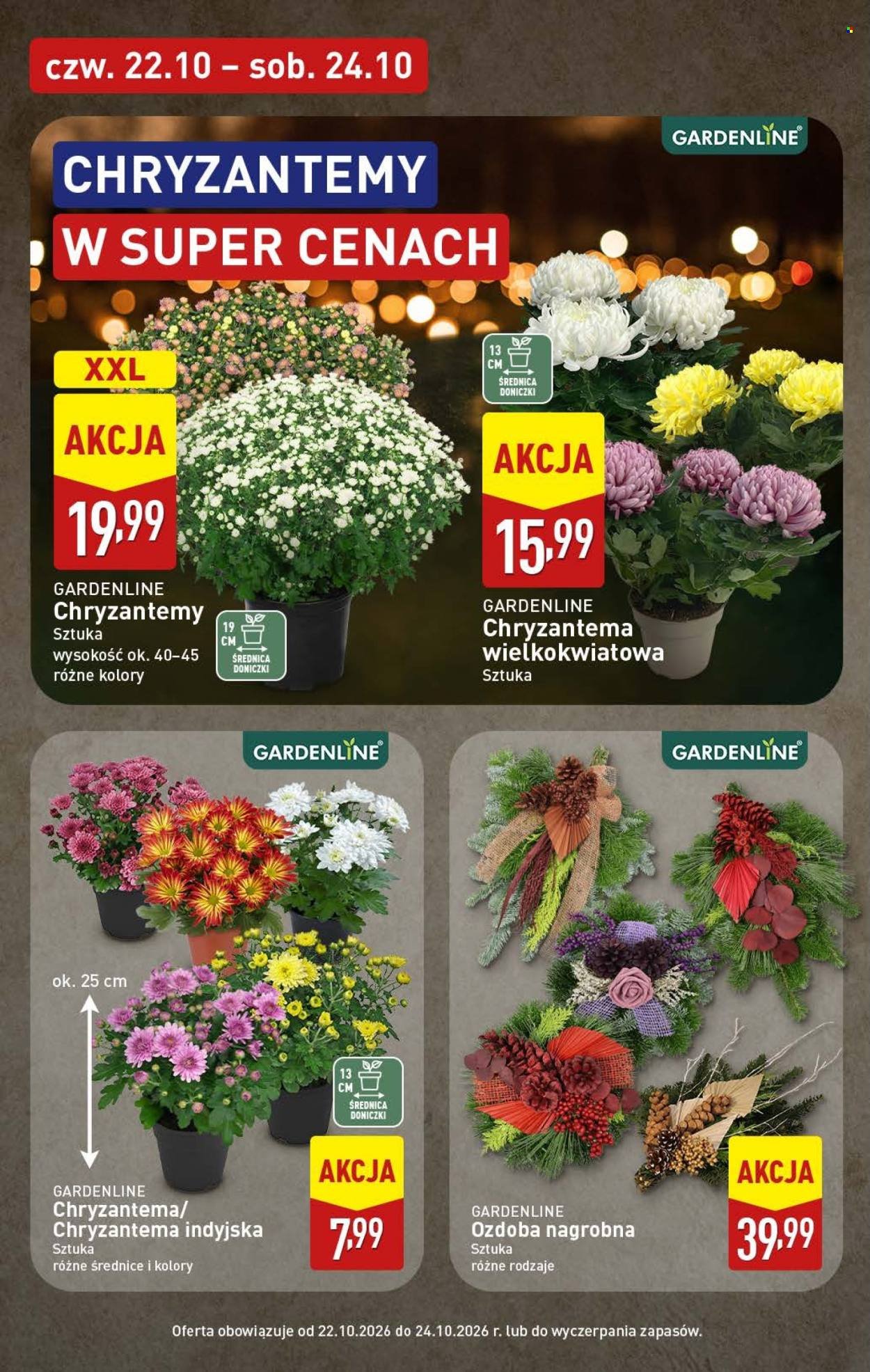 Gazetka ALDI - Pełna oferta