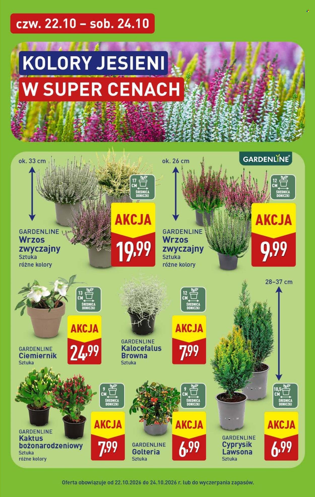 Gazetka ALDI - Pełna oferta