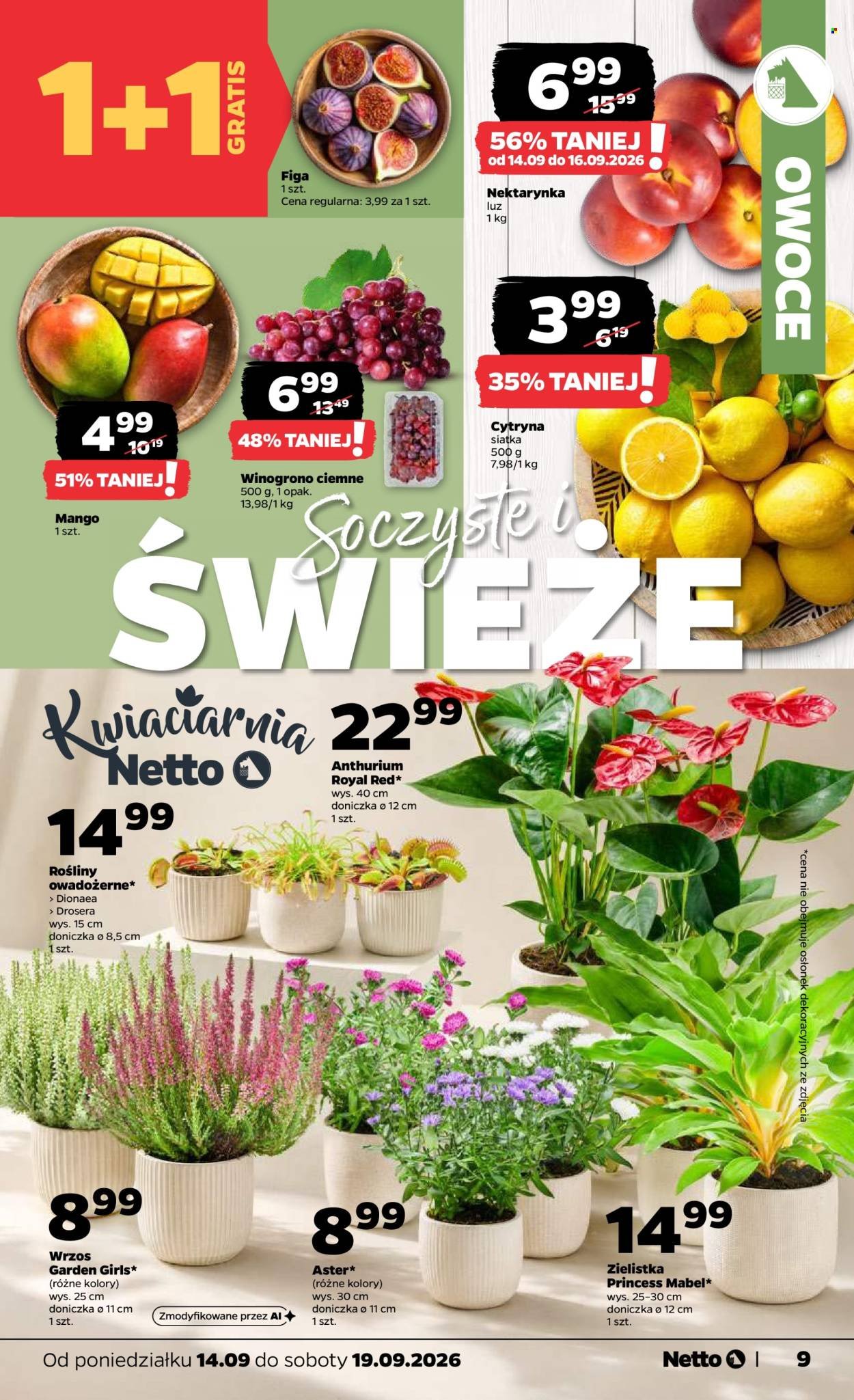 Gazetka NETTO - Od poniedziałku