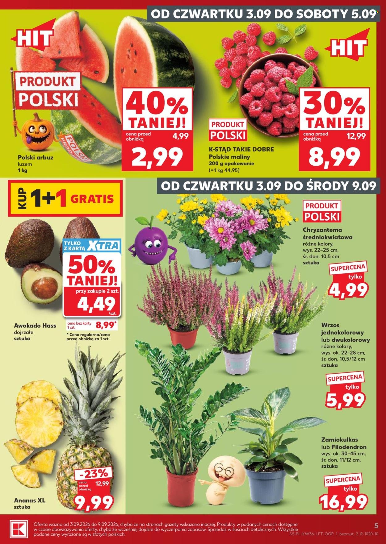 Gazetka KAUFLAND - Gazetka tygodnia