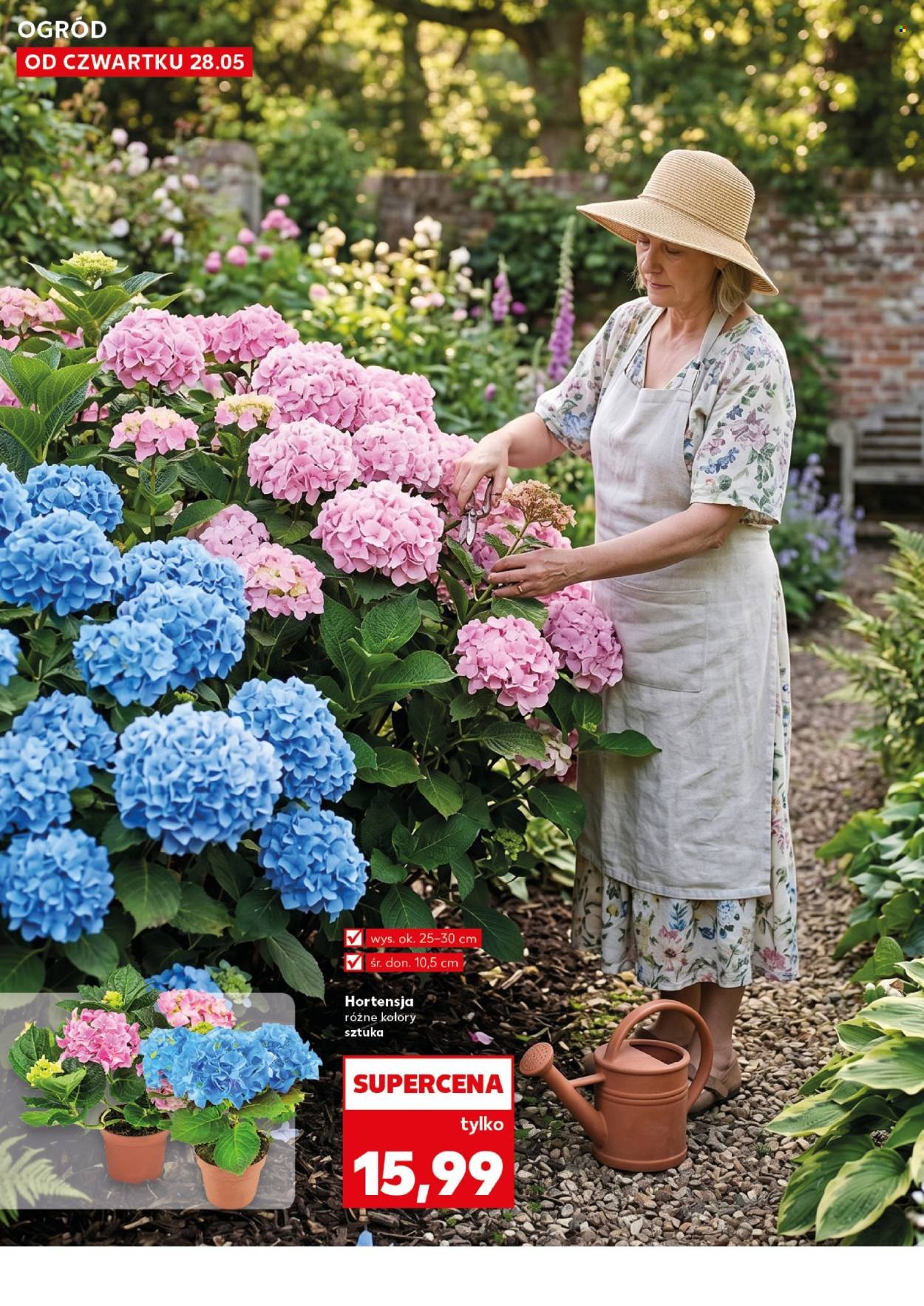 Gazetka KAUFLAND - Ogród wiosenne inspiracje