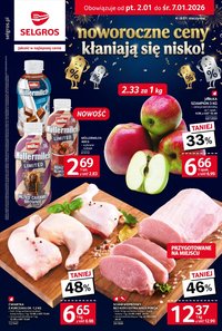 Gazetka SELGROS - Katalog Nowy Rok (2026-01-02 - 2026-01-07)