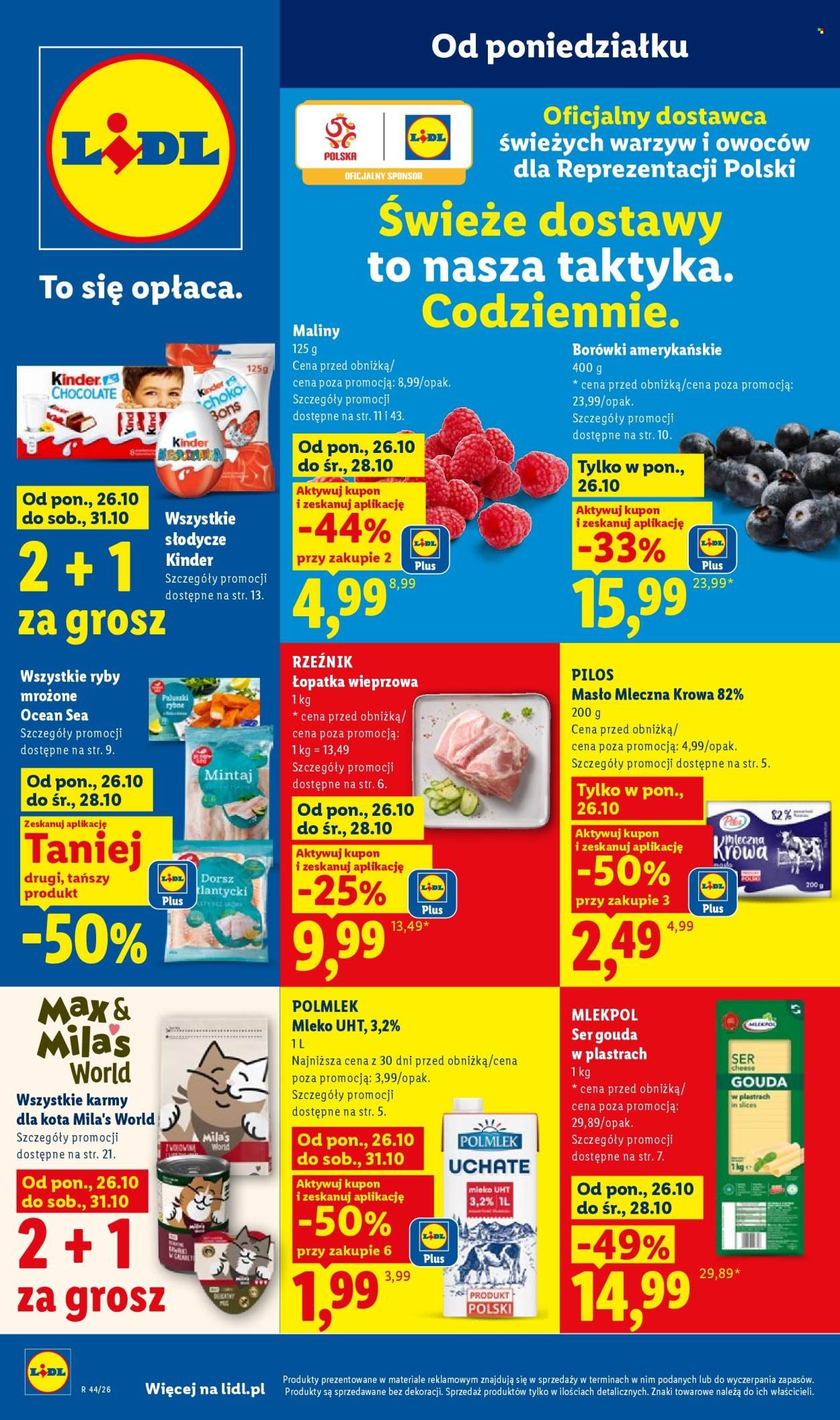 Gazetka LIDL - Od poniedziałku