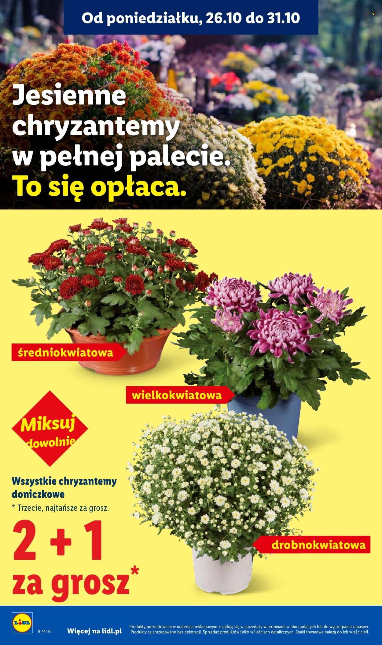 Gazetka LIDL - Od poniedziałku