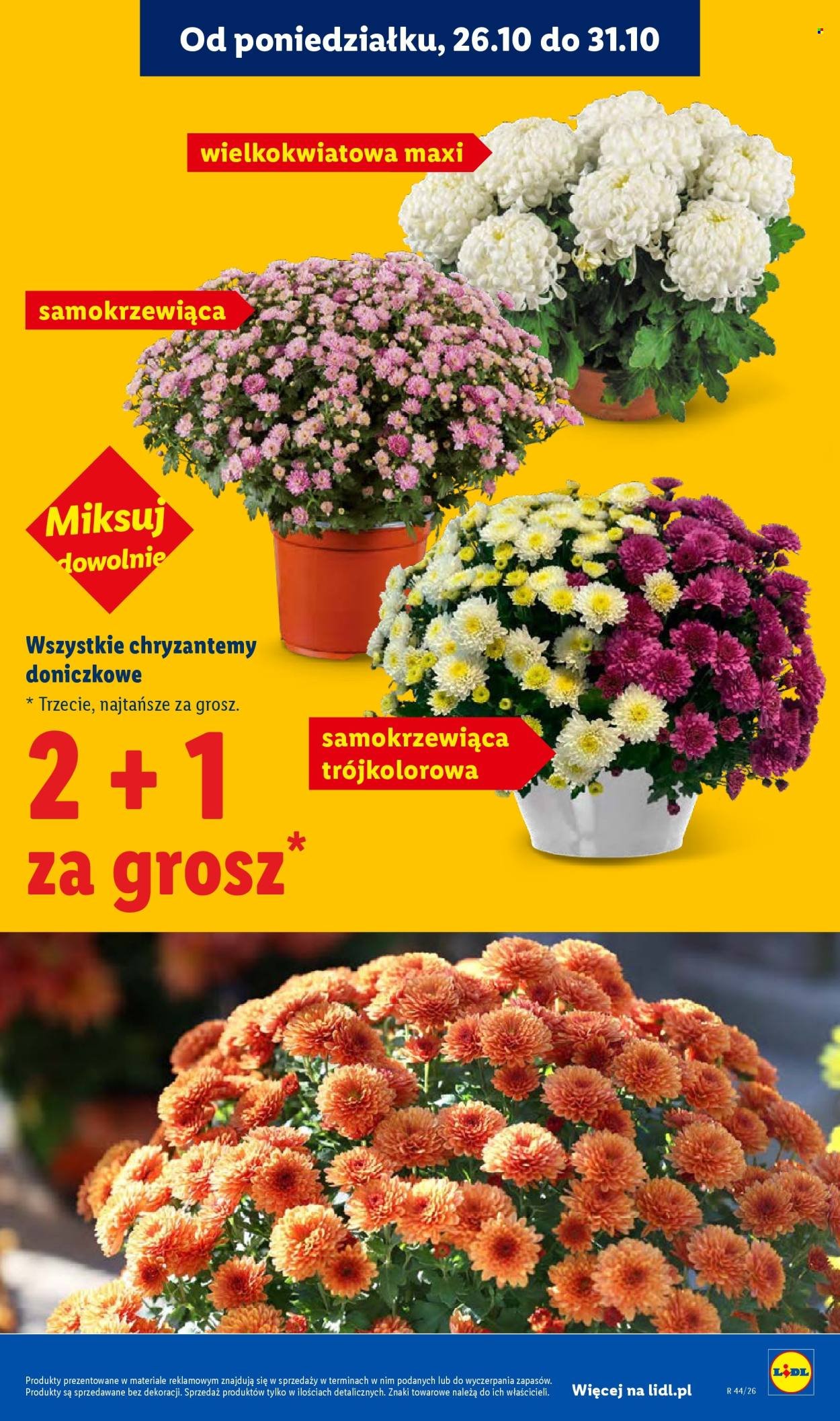 Gazetka LIDL - Od poniedziałku