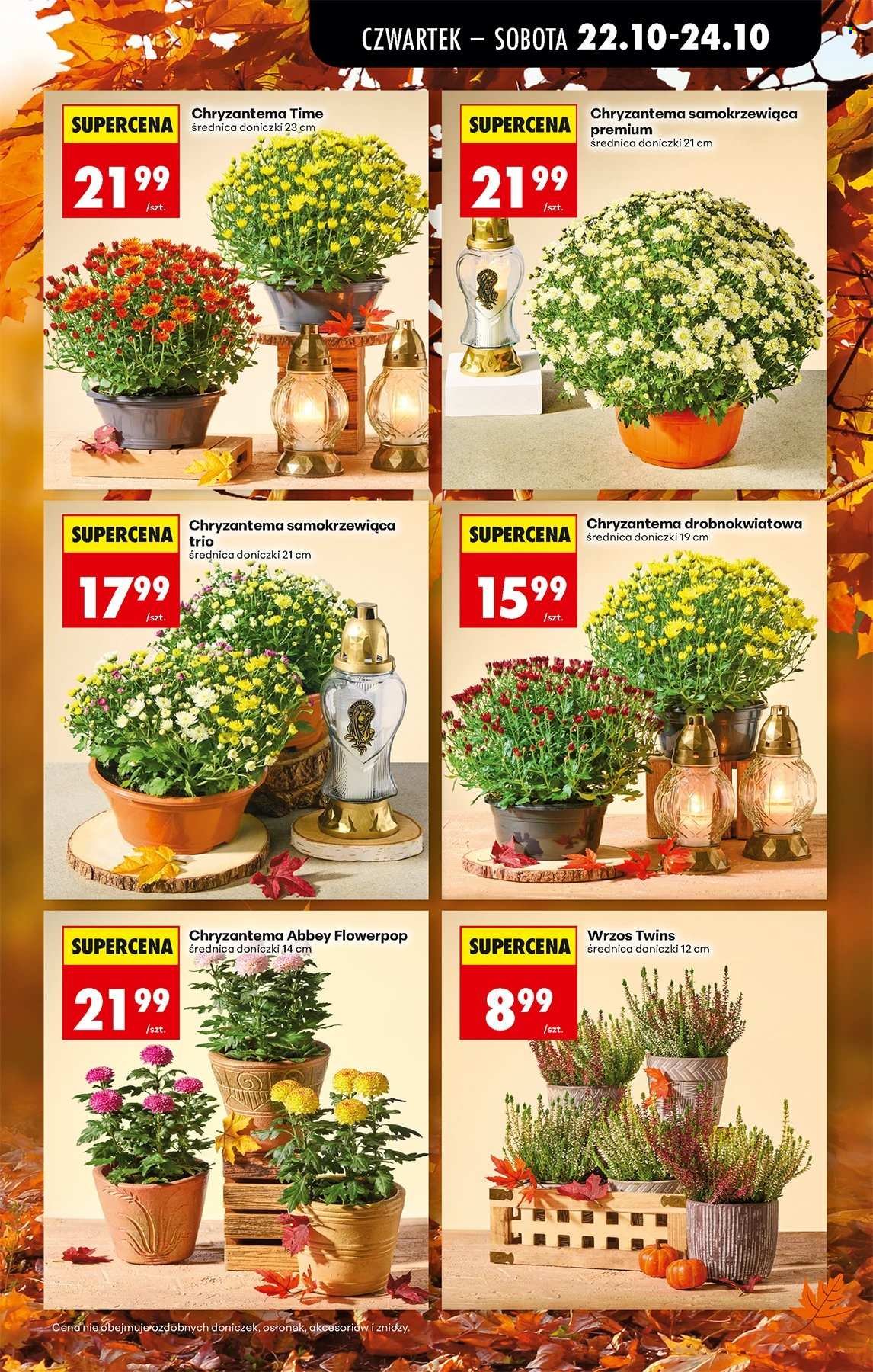 Gazetka BIEDRONKA - W tym tygodniu od czwartku