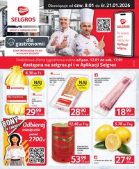 Gazetka SELGROS - Oferta dla gastronomii (2026-01-08 - 2026-01-21)