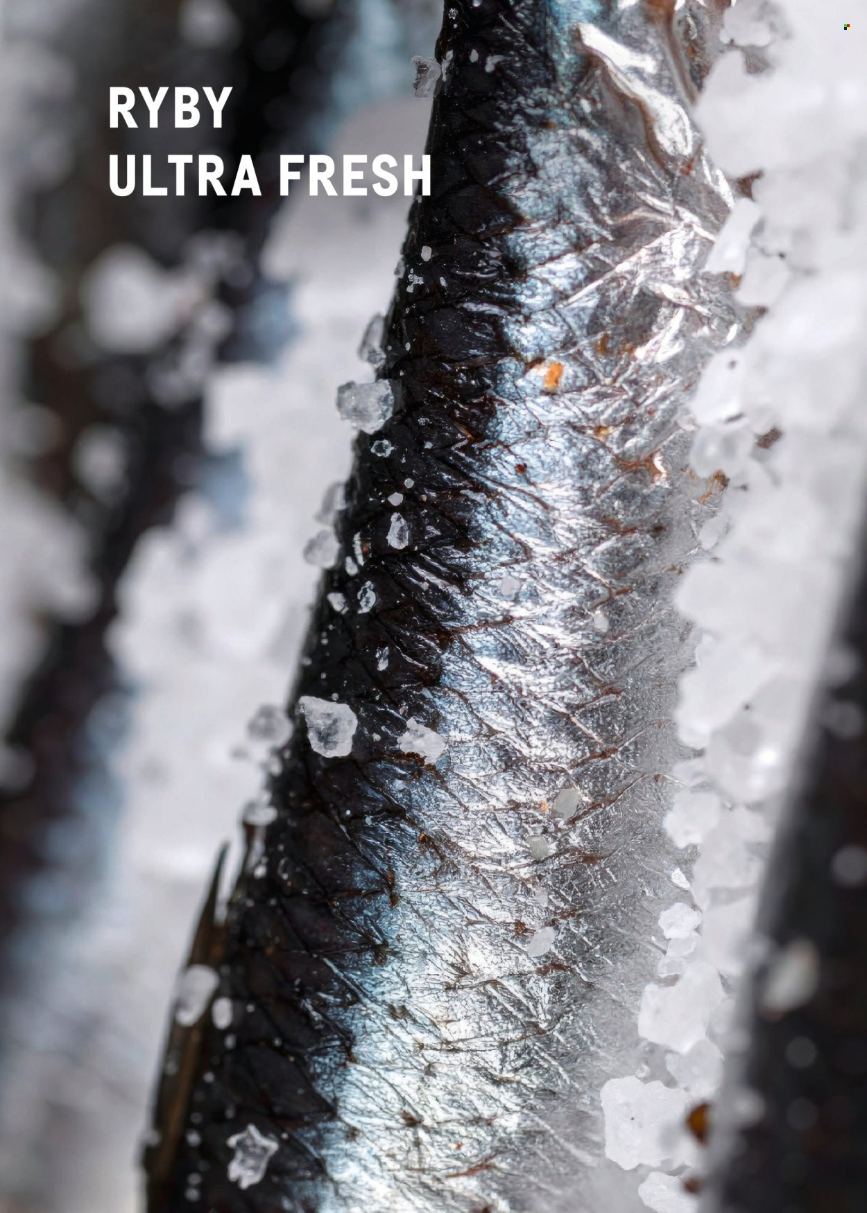 Gazetka MAKRO - Katalog ultra fresh