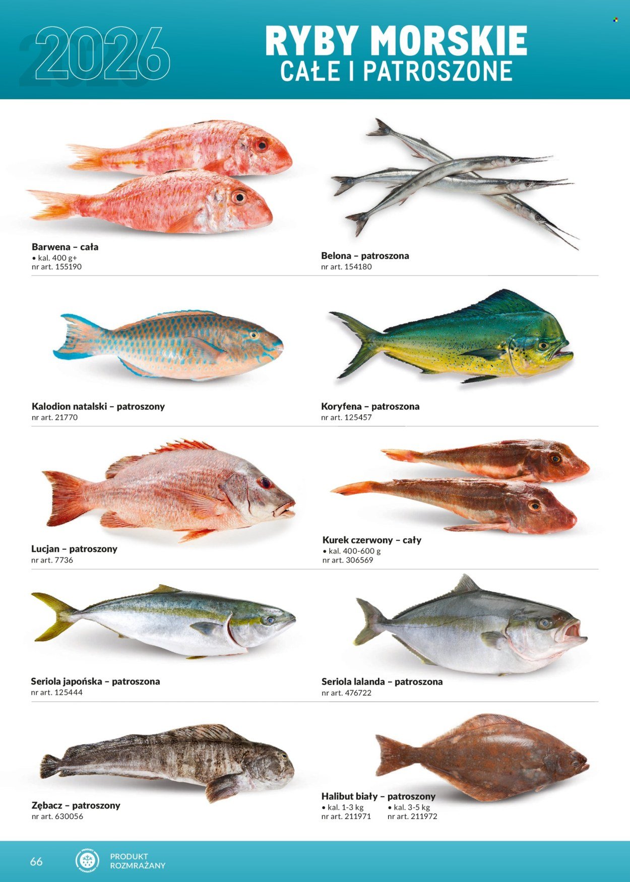Gazetka MAKRO - Katalog ultra fresh