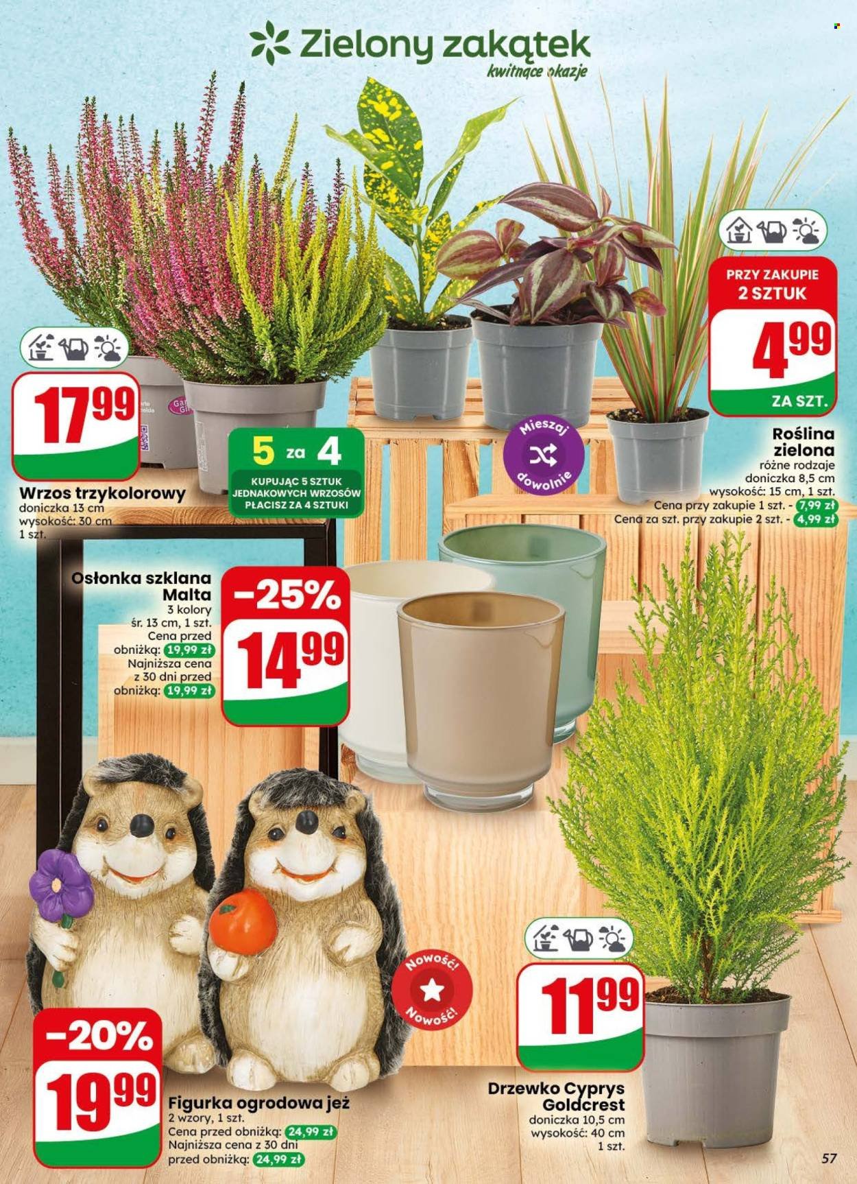 Gazetka DINO - Od środy 16.09.2026