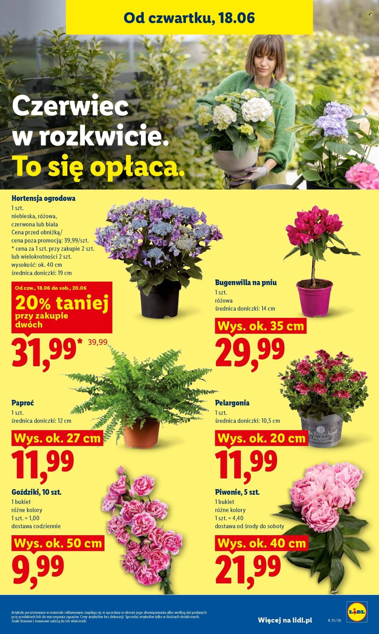Gazetka LIDL - Od czwartku