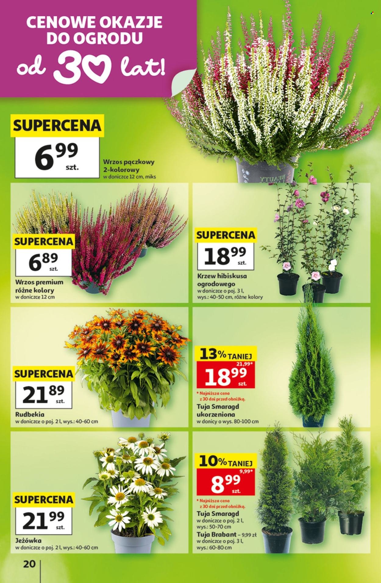 Gazetka AUCHAN - 30 Lat