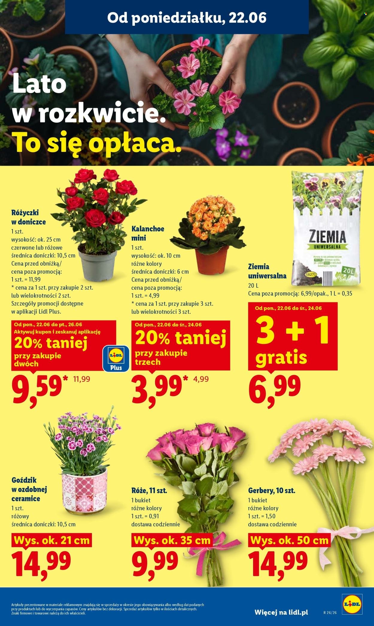 Gazetka LIDL - Od poniedziałku