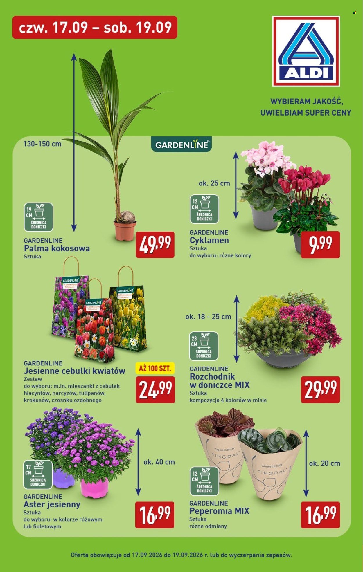 Gazetka ALDI - Pełna oferta