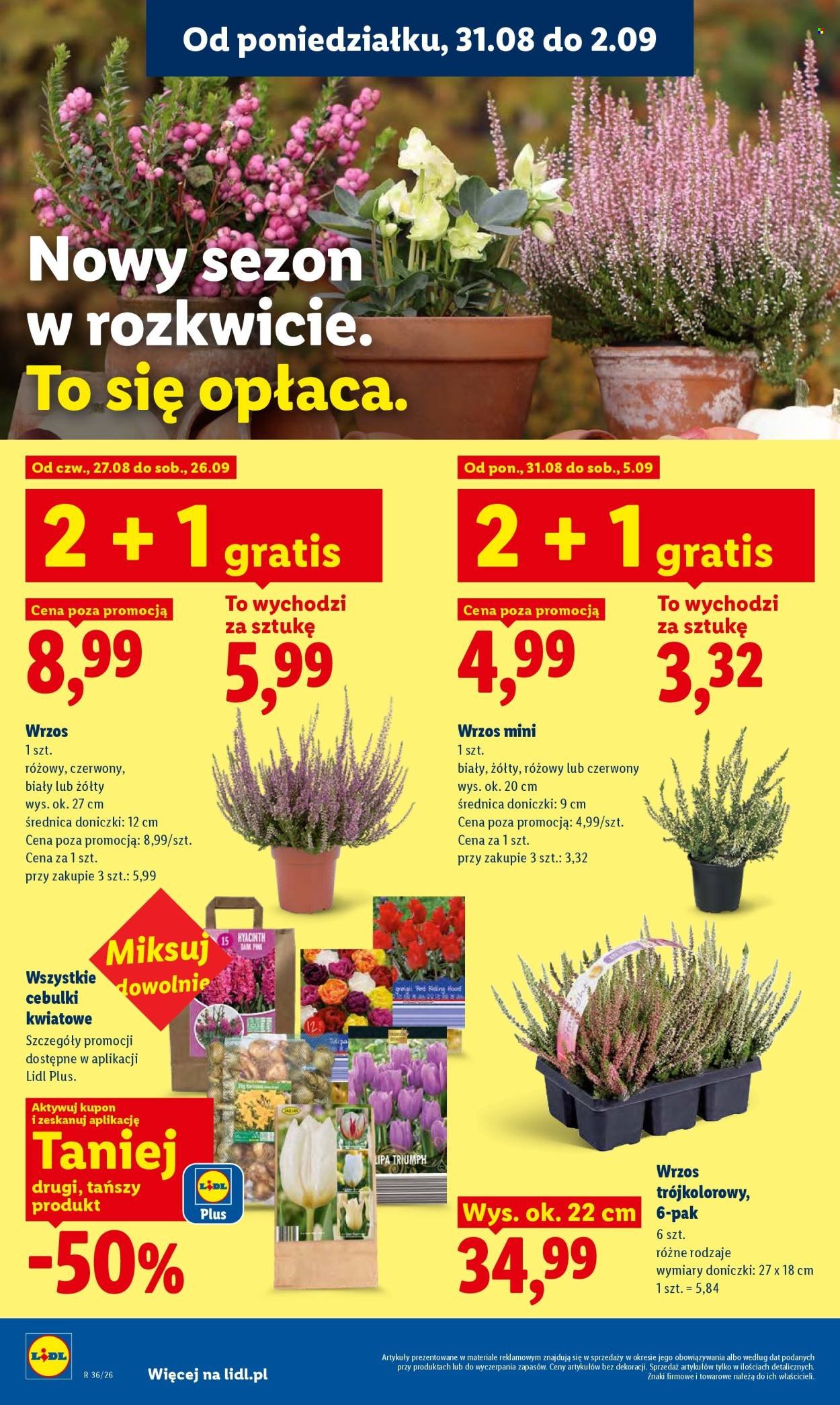 Gazetka LIDL - Od poniedziałku