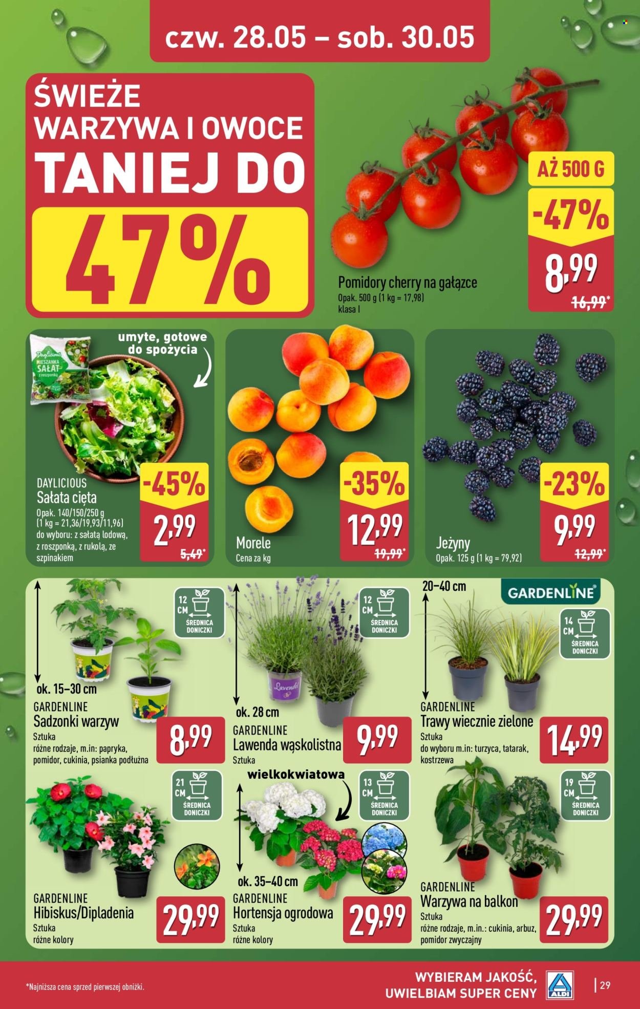 Gazetka ALDI - Pełna oferta