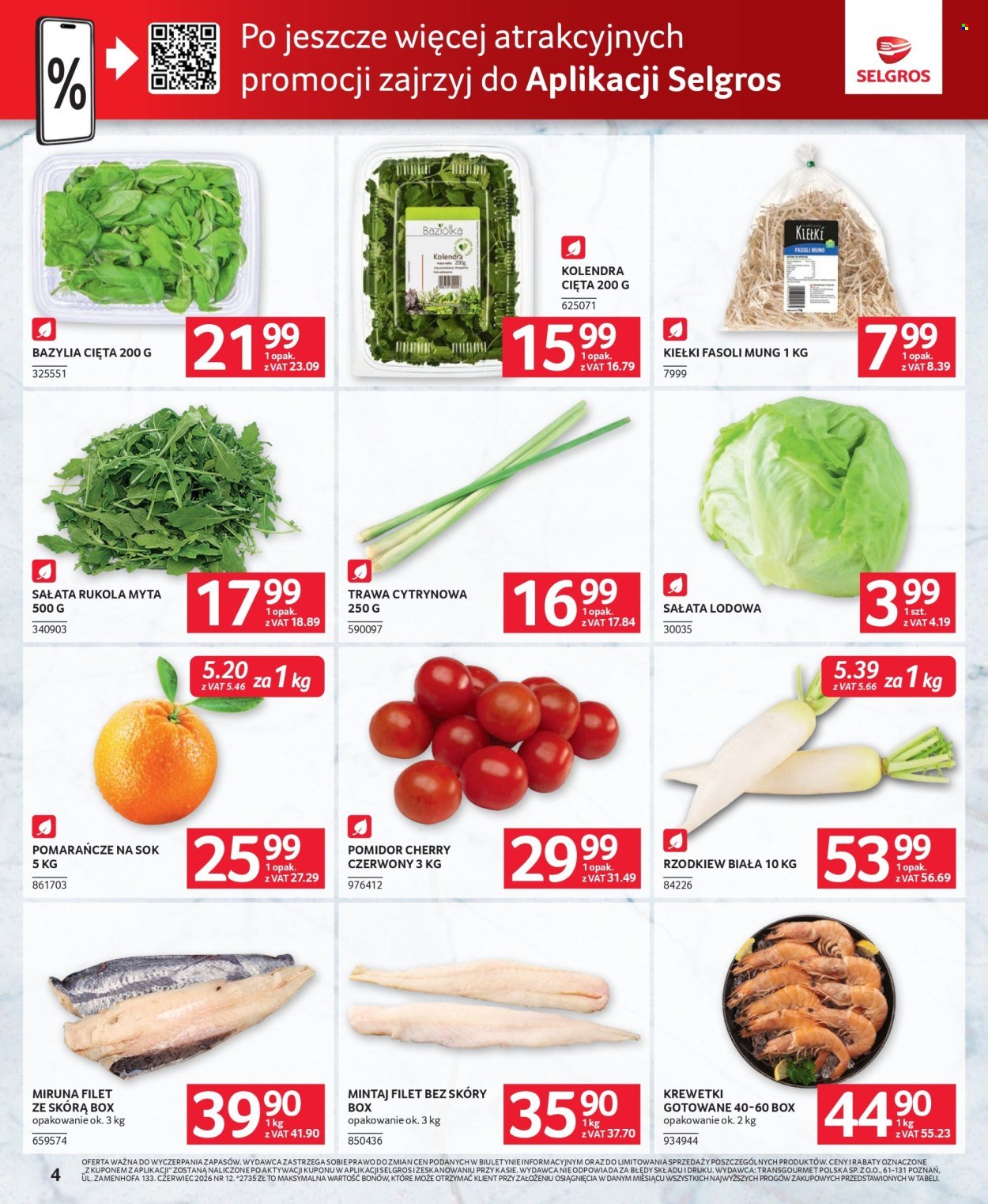 Gazetka SELGROS - Oferta dla gastronomii