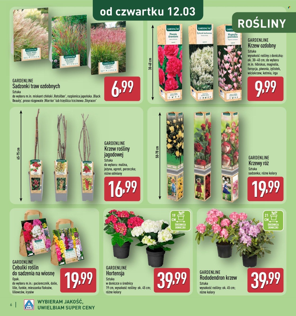 Gazetka ALDI - Katalog ogrodowy