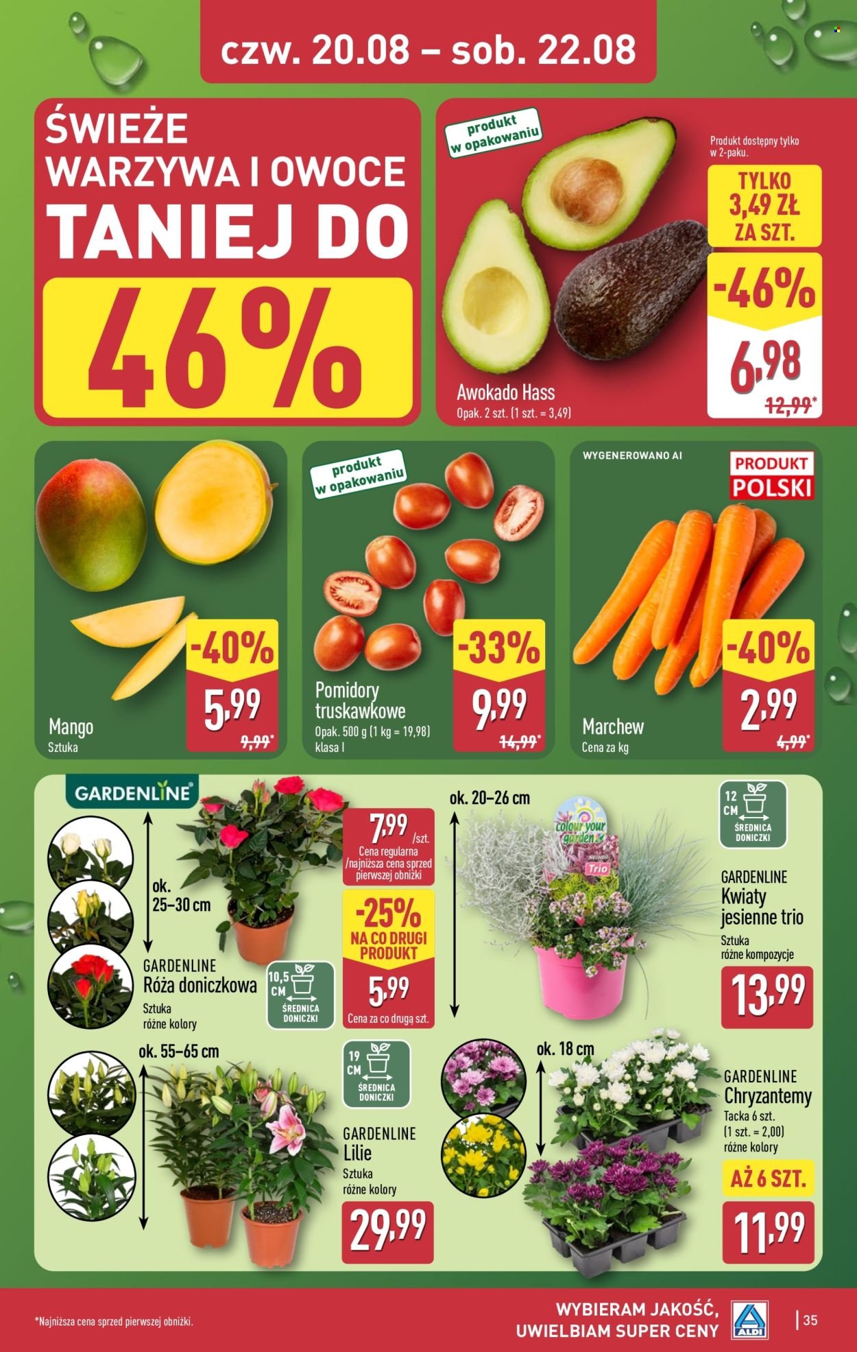 Gazetka ALDI - Pełna oferta