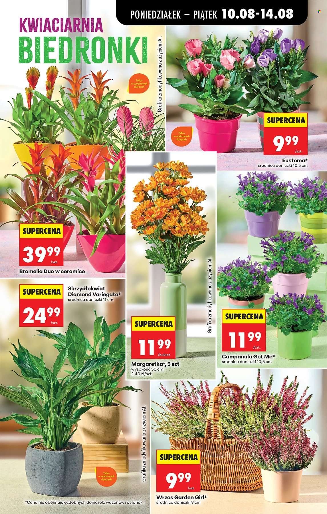 Gazetka BIEDRONKA - W tym tygodniu od poniedziałku