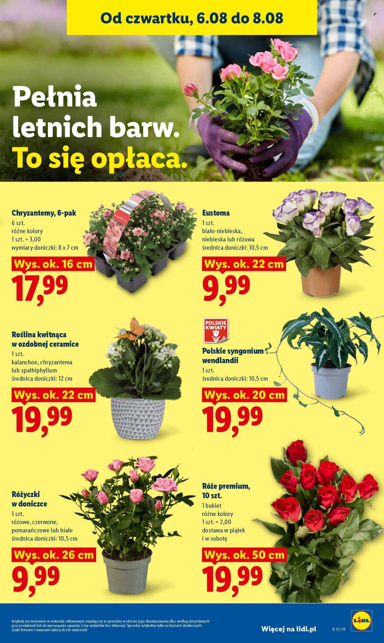 Gazetka LIDL - Od czwartku