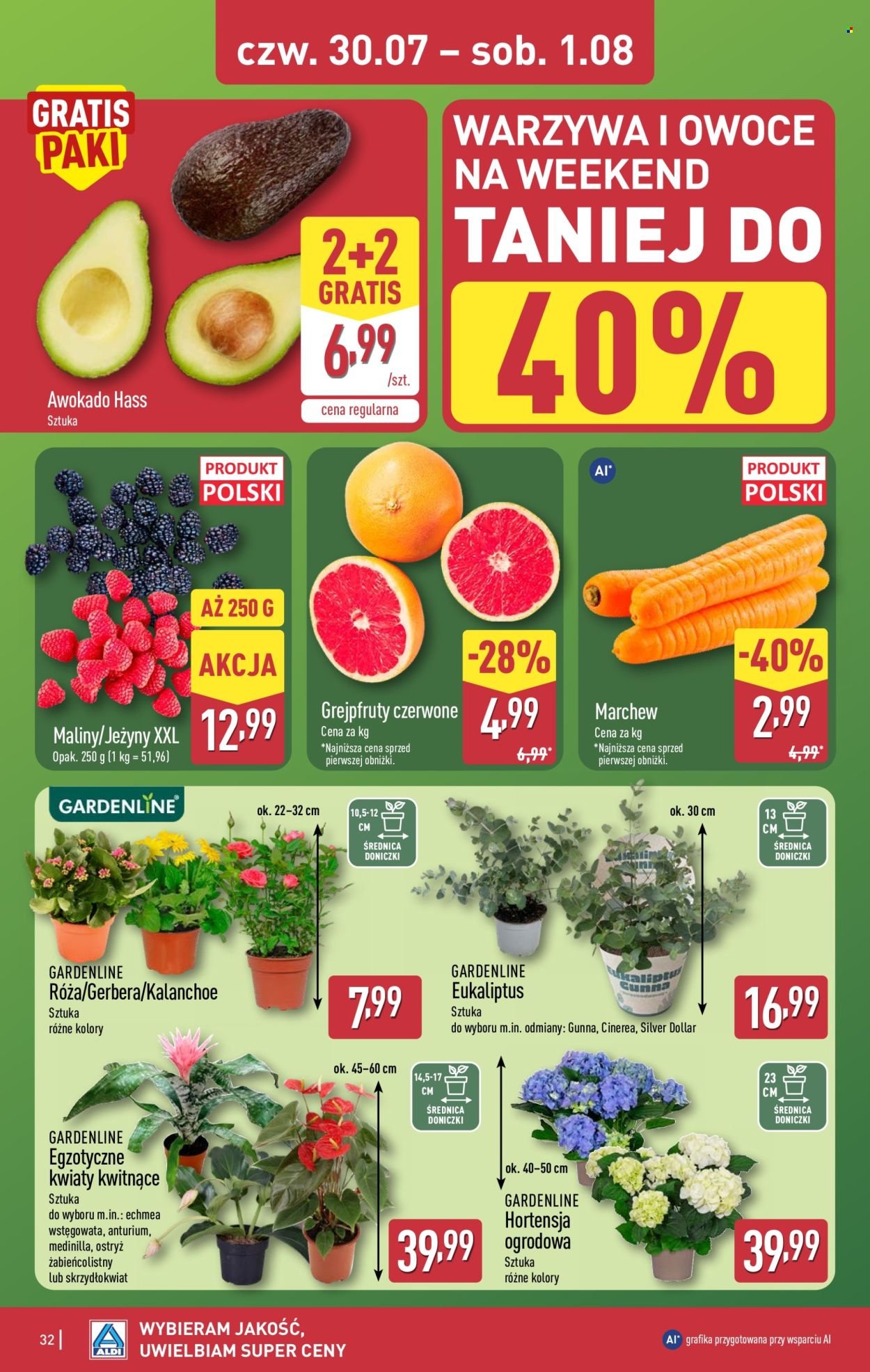 Gazetka ALDI - Pełna oferta