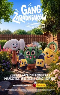 Gazetka BIEDRONKA - Gang zaradniakow