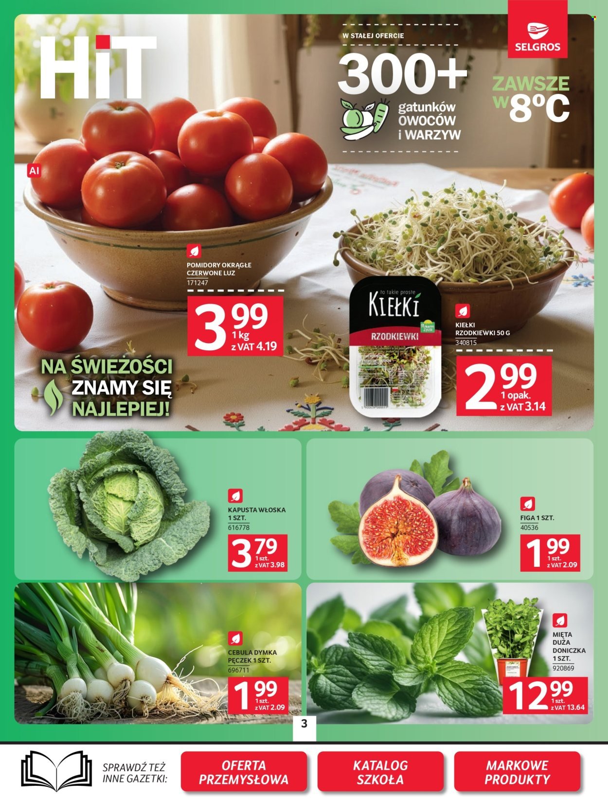 Gazetka SELGROS - Oferta spożywcza
