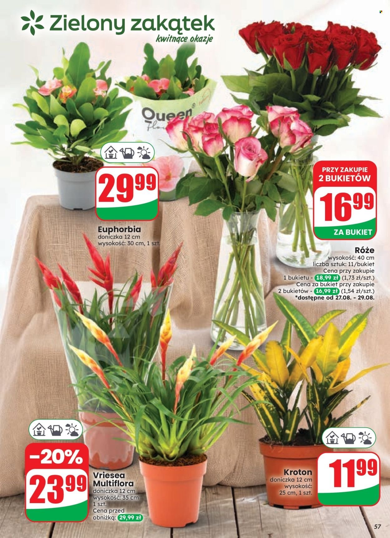 Gazetka DINO - Od środy 26.08.2026