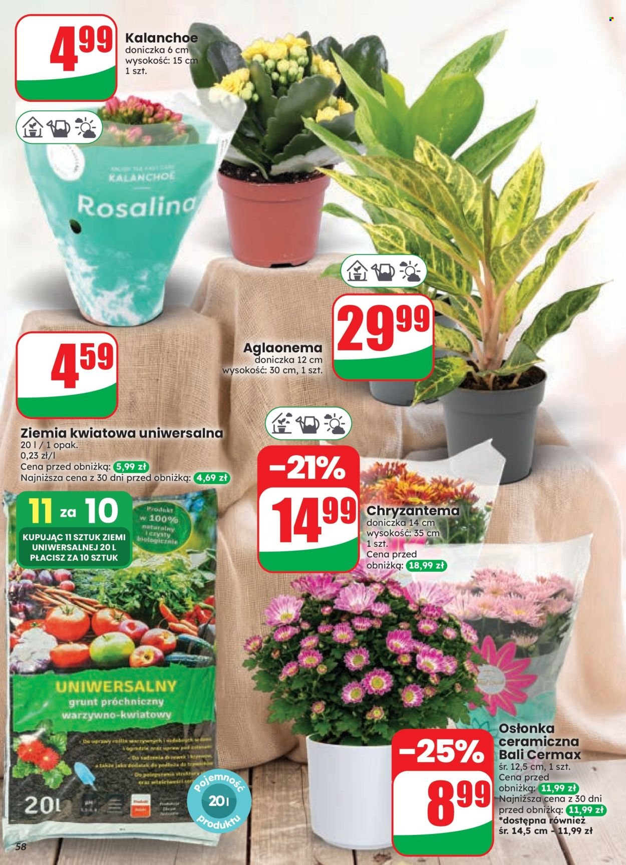 Gazetka DINO - Od środy 26.08.2026