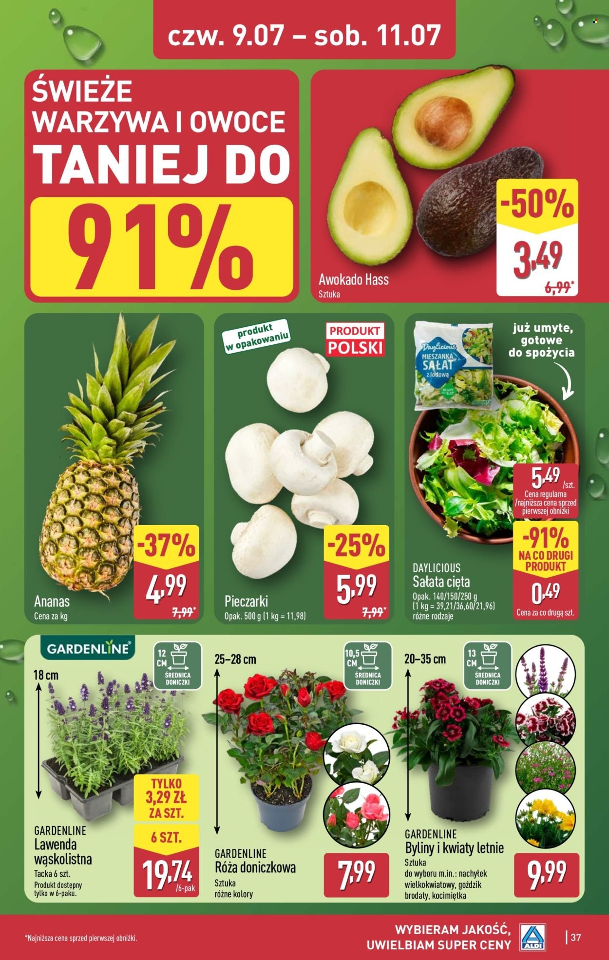 Gazetka ALDI - Pełna oferta