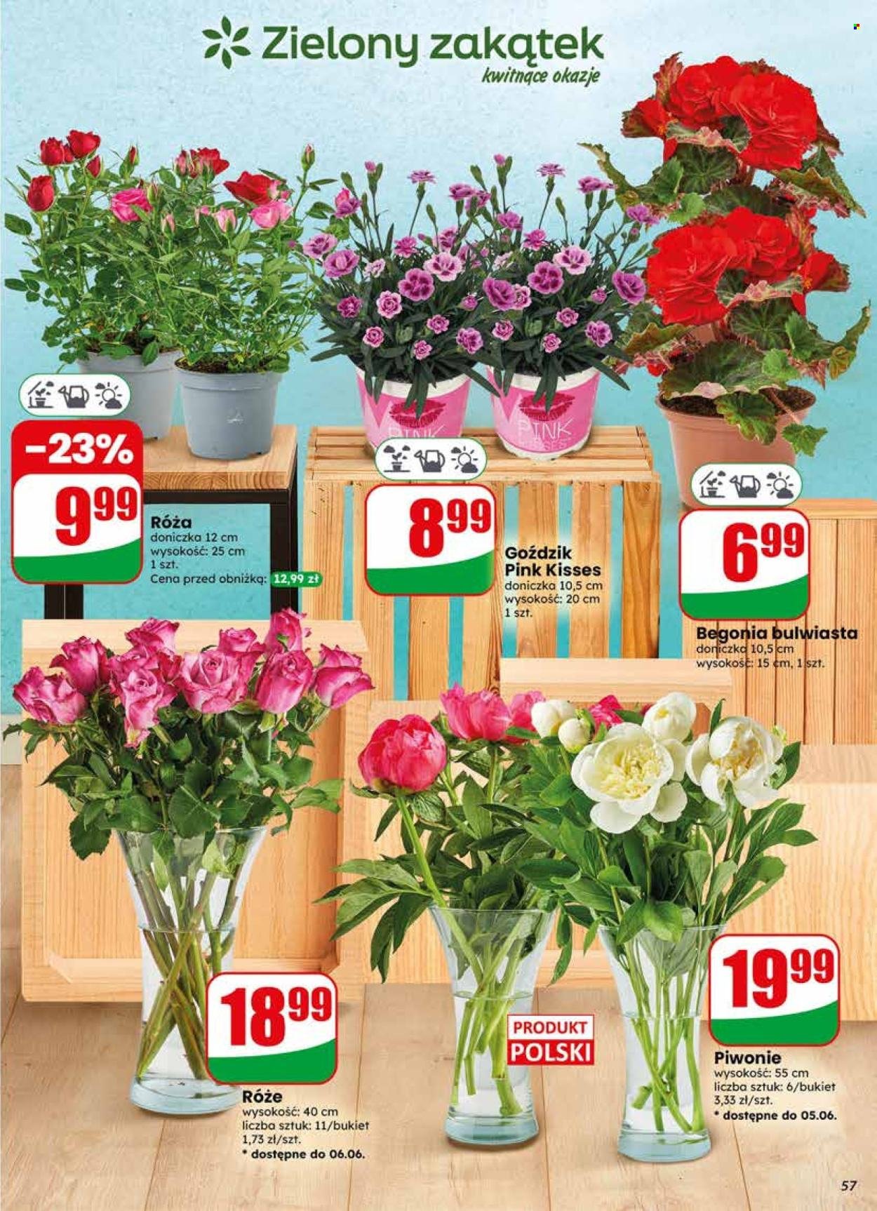 Gazetka DINO - Od środy 3.06.2026