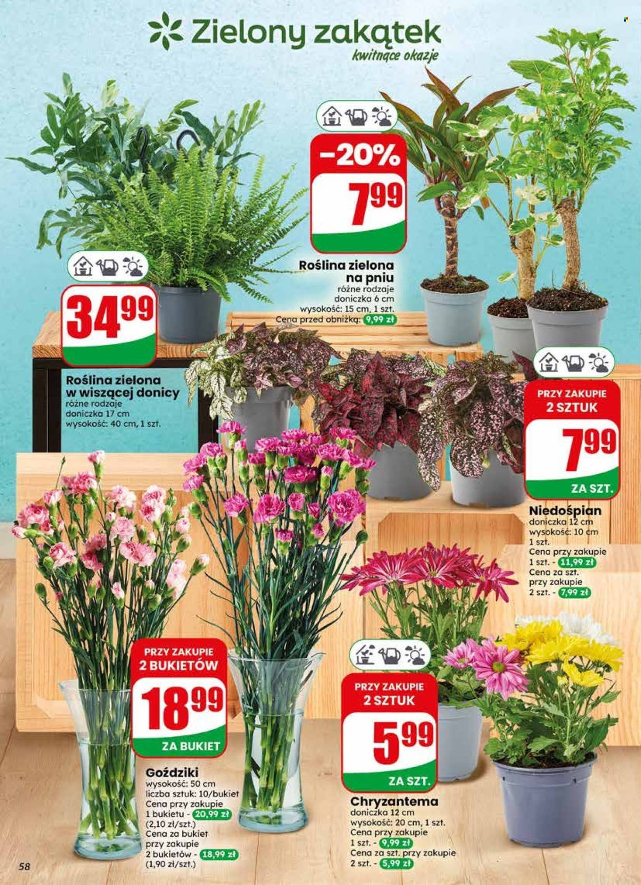 Gazetka DINO - Od środy 3.06.2026