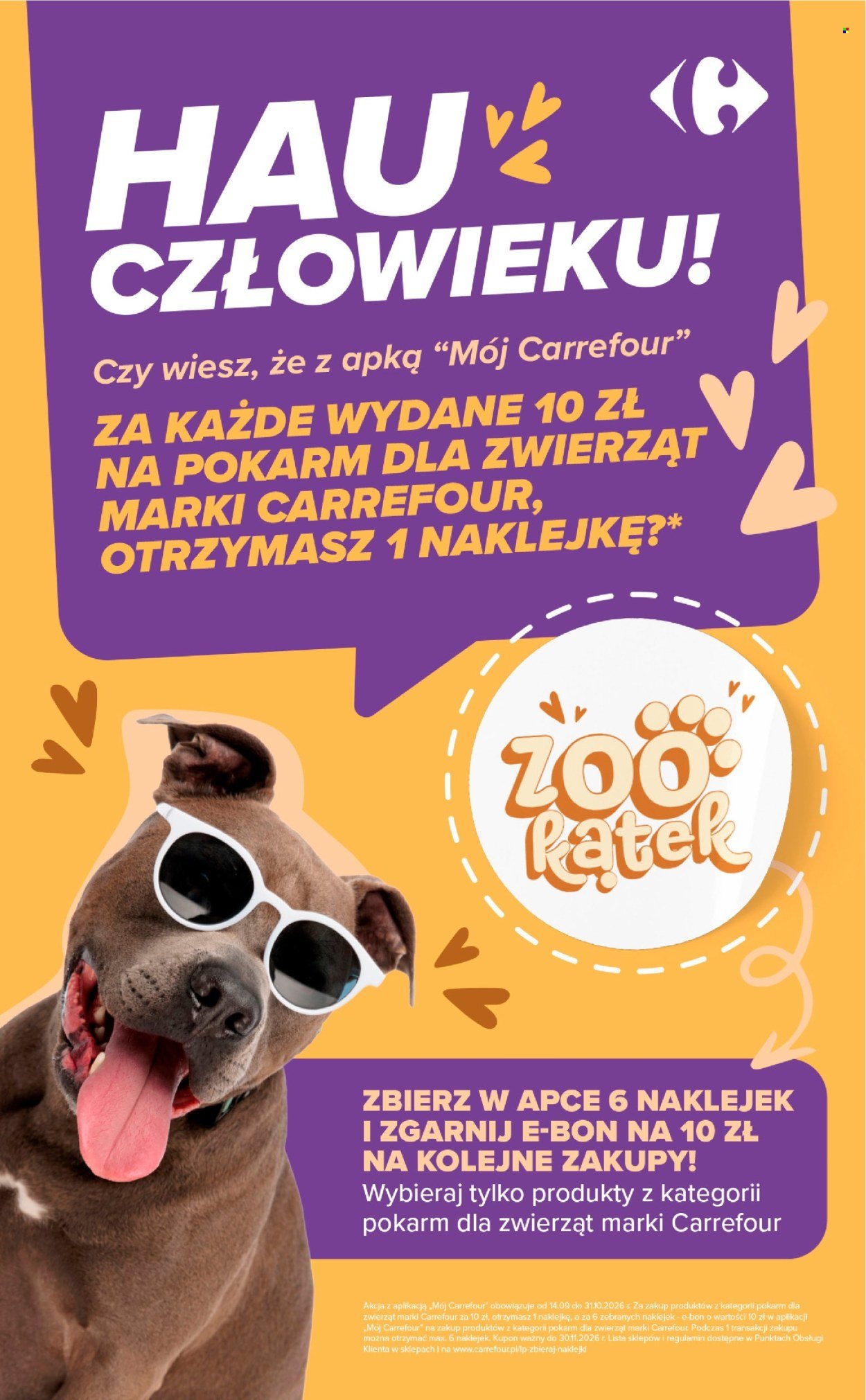 Gazetka CARREFOUR - Codziennie extra okazje