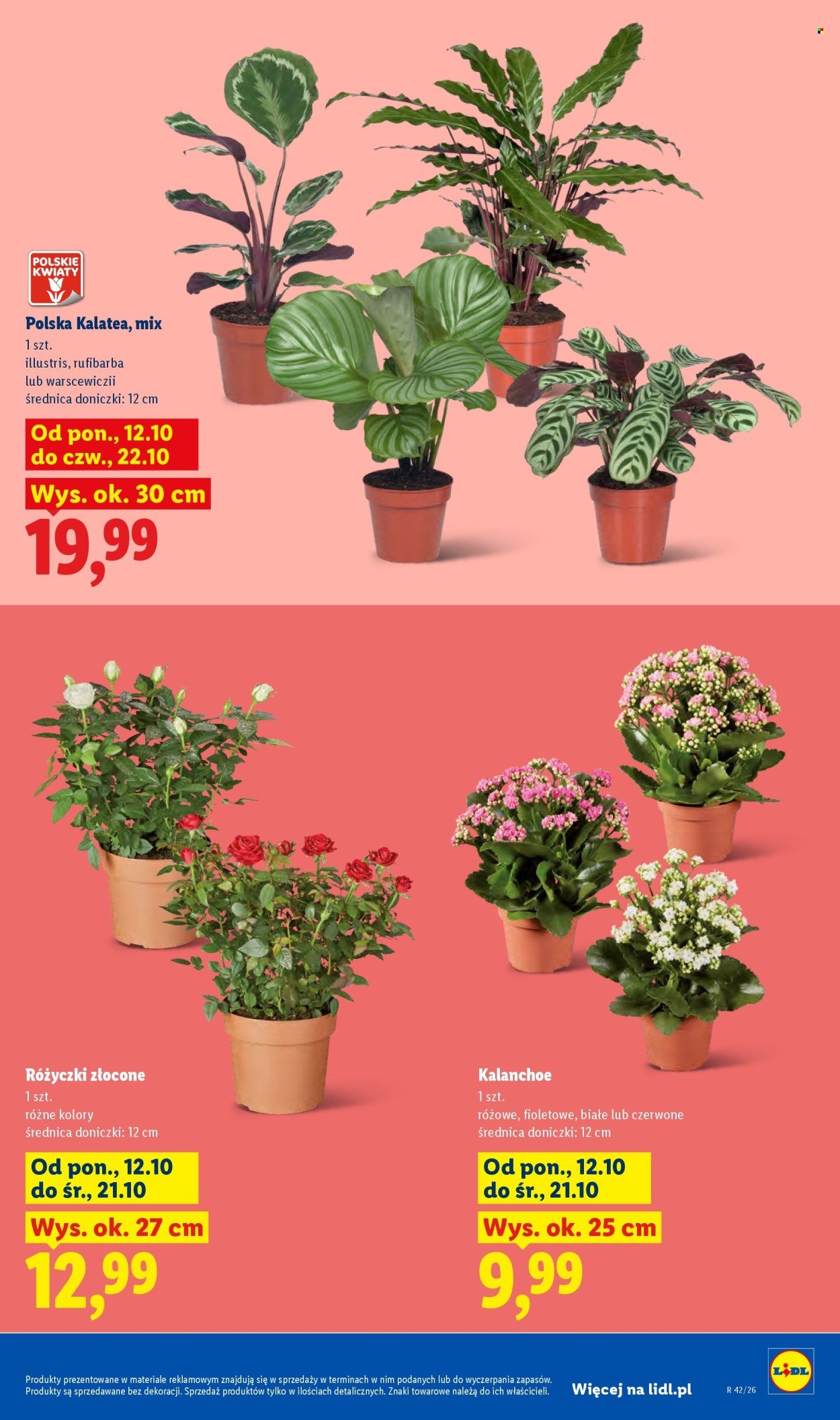 Gazetka LIDL - Od poniedziałku