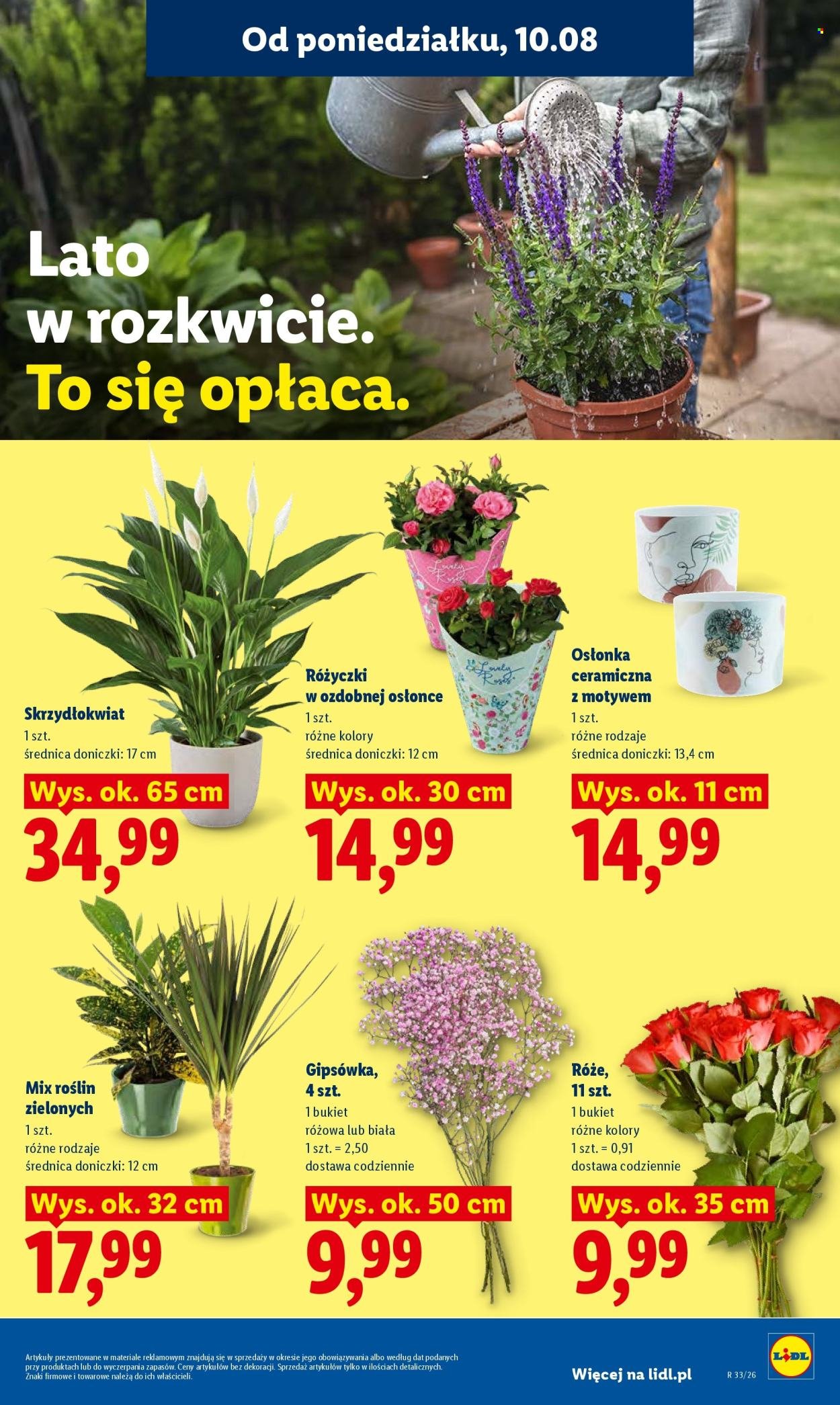 Gazetka LIDL - Od poniedziałku