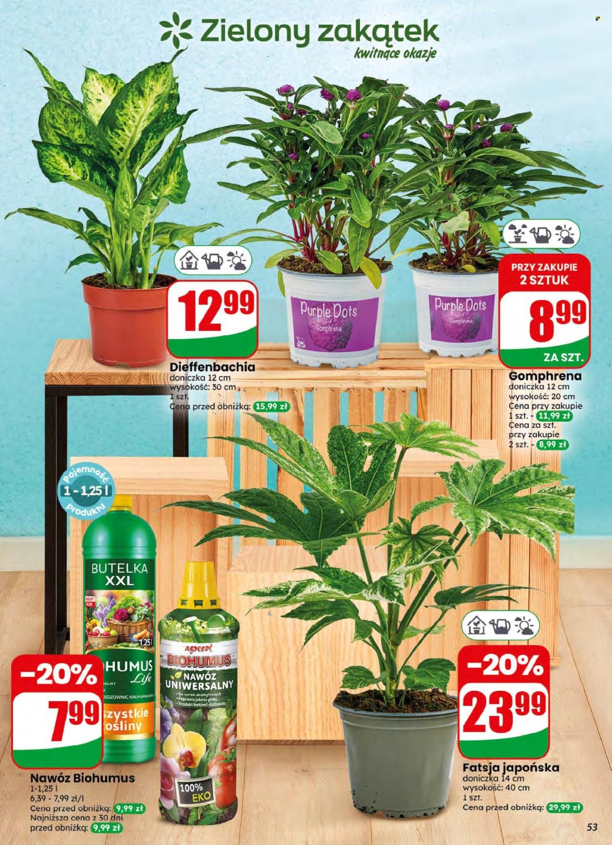 Gazetka DINO - Od środy 5.08.2026