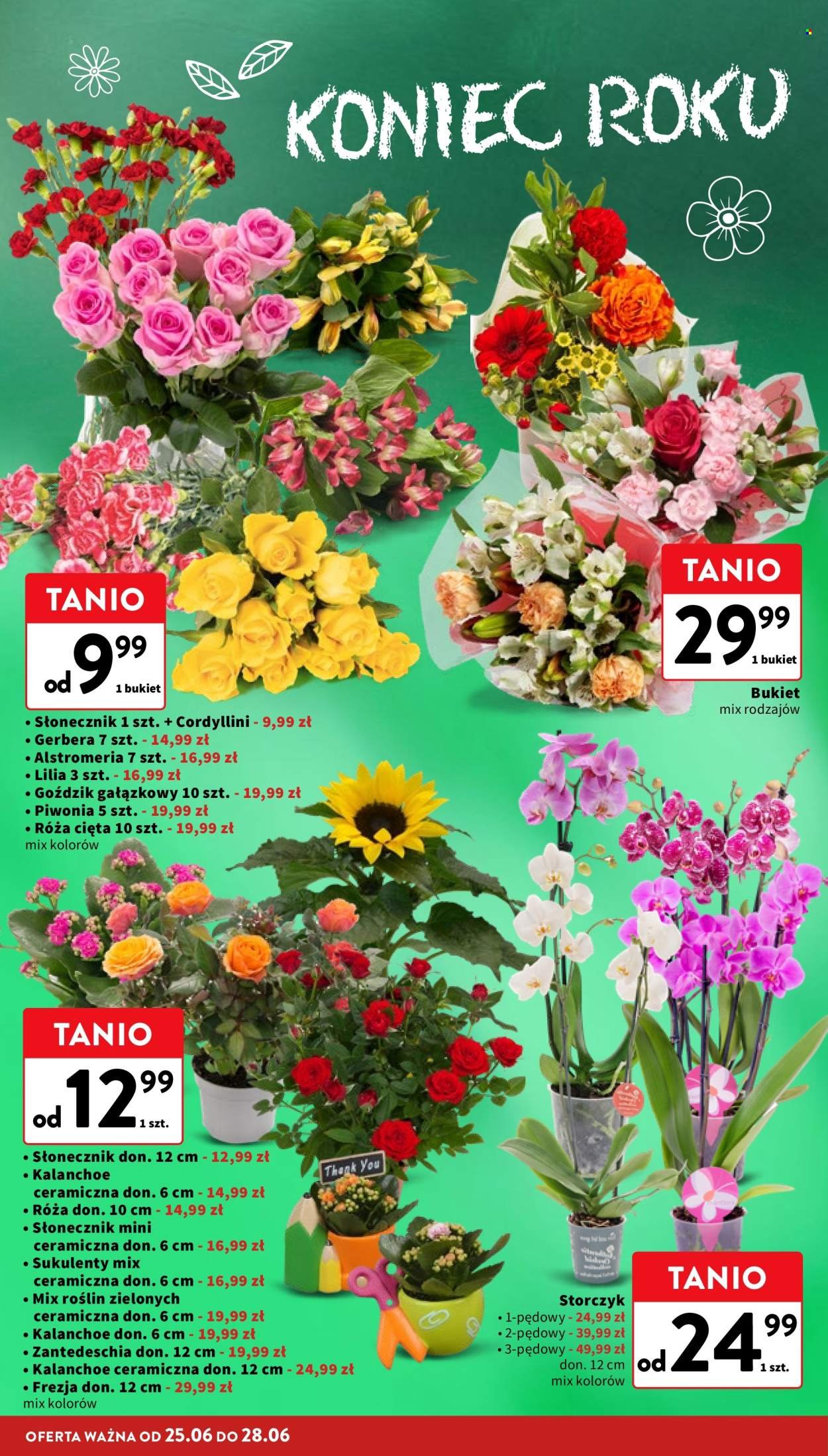 Gazetka INTERMARCHÉ - Od czwartku 25.06.2026