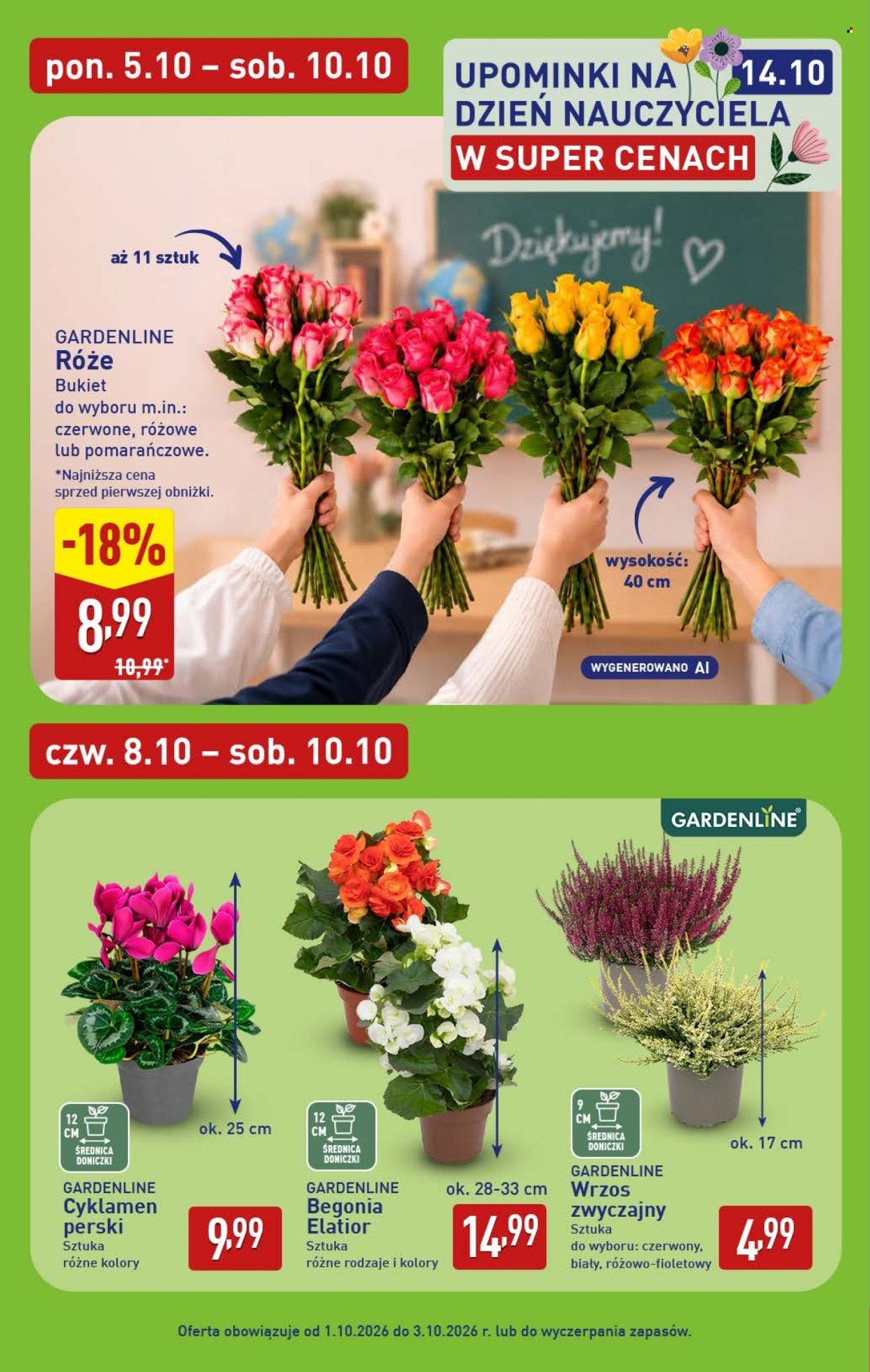 Gazetka ALDI - Pełna oferta