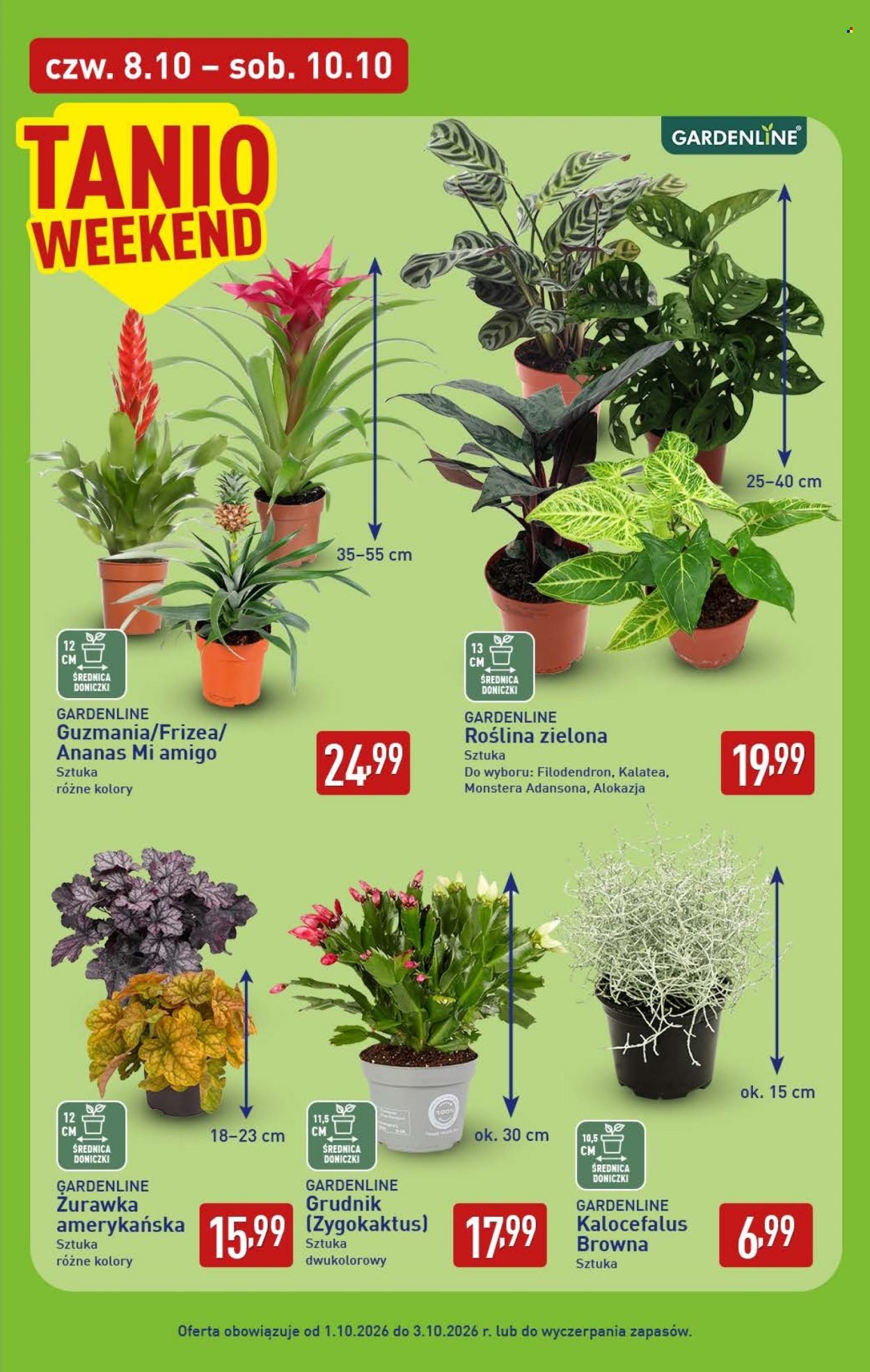 Gazetka ALDI - Pełna oferta
