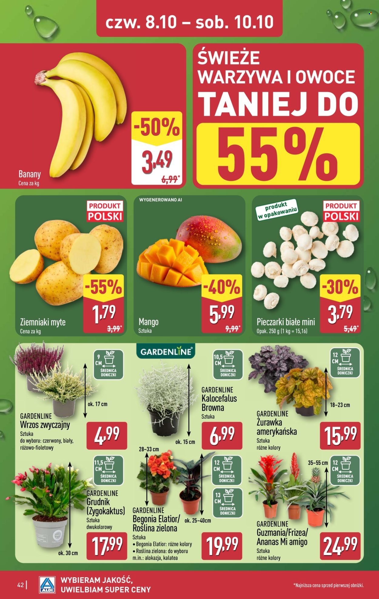 Gazetka ALDI - Pełna oferta