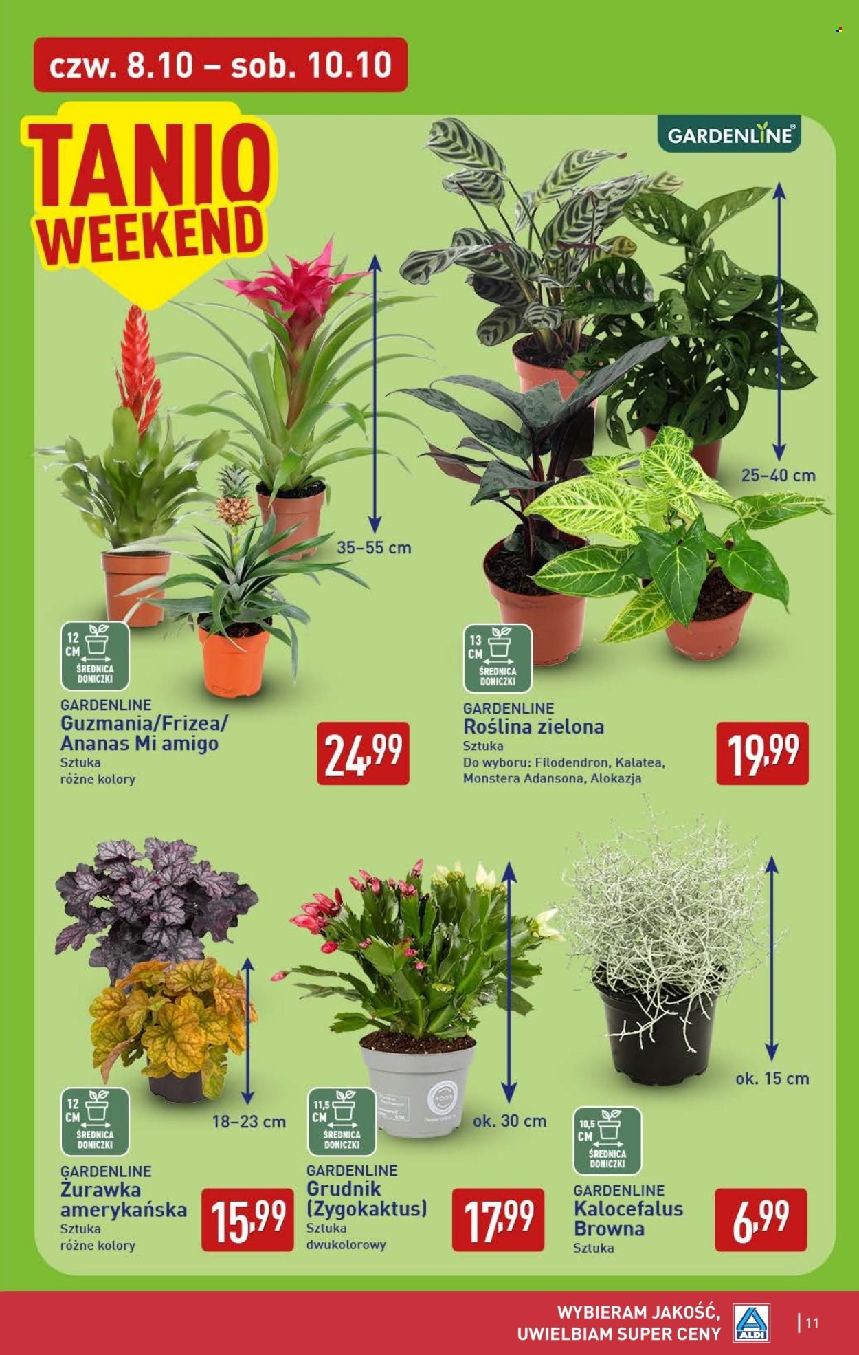 Gazetka ALDI - Oferta weekndowa